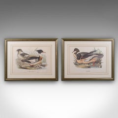 Pair of Antique Duck Pictures, Framed Wildlife Art Prints, Lithograph, Victorian