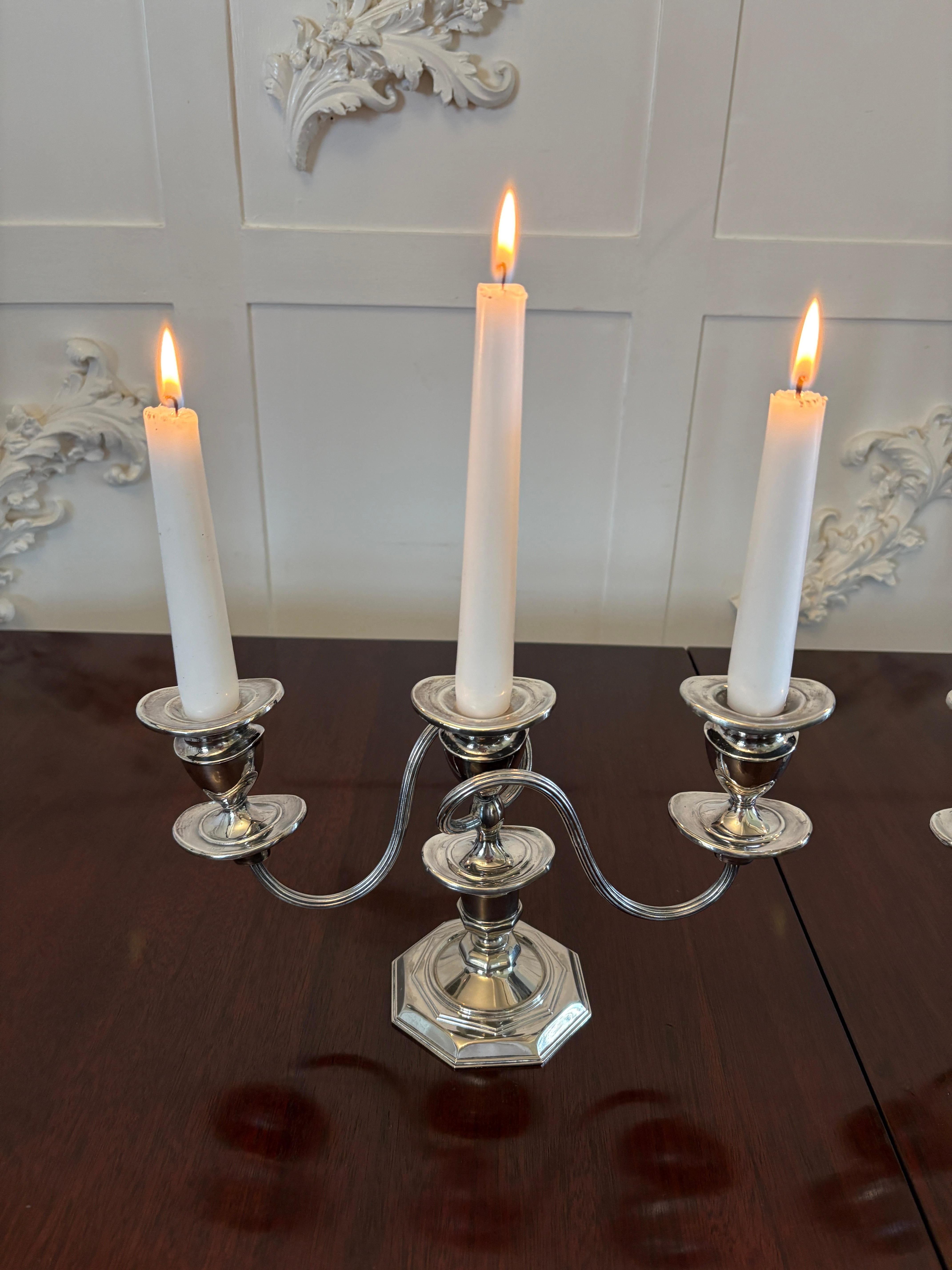 Inglese Coppia di candelabri antichi di qualità edoardiana placcati in argento in vendita