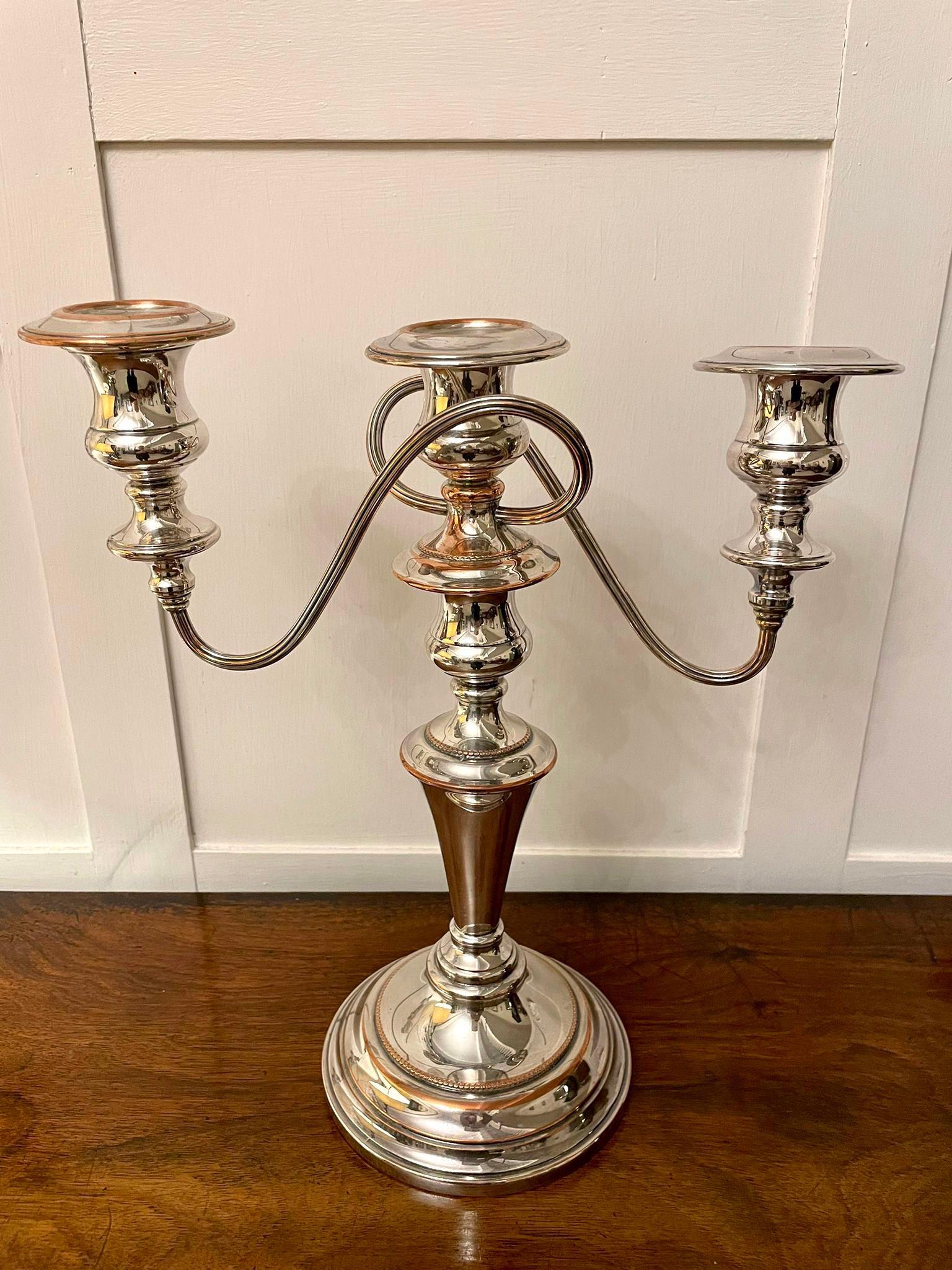 English Pair of Antique Edwardian Silver Painted Candelabra