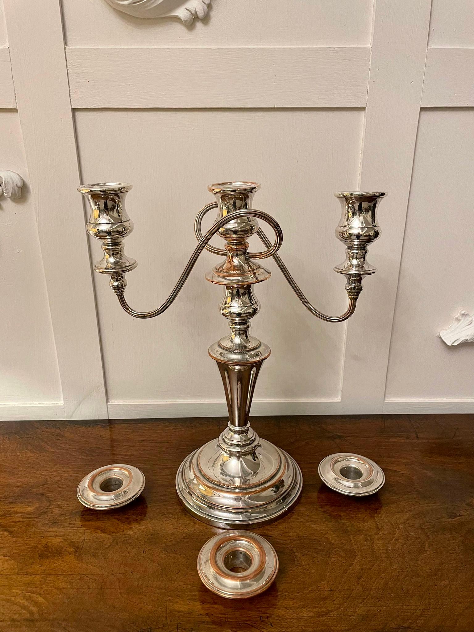 Pair of Antique Edwardian Silver Painted Candelabra 2