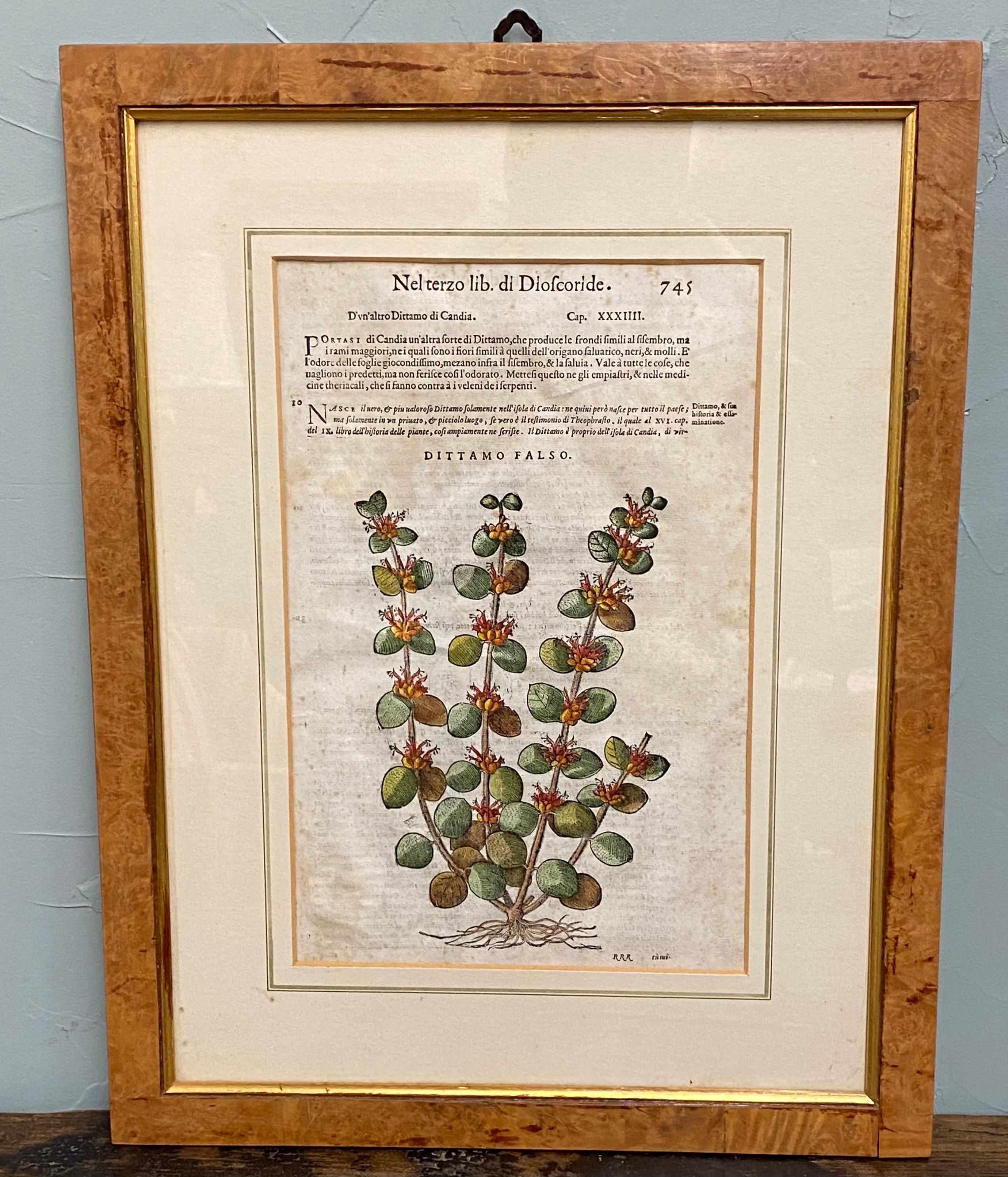 Pair of exceptional antique English botany prints, hand colored in Italian burl olive wood and gold leaf frames. 4 additional smaller prints available, sold separately.
Great wall decoration for the bedroom, bath or powder room.
Prints measure: 3