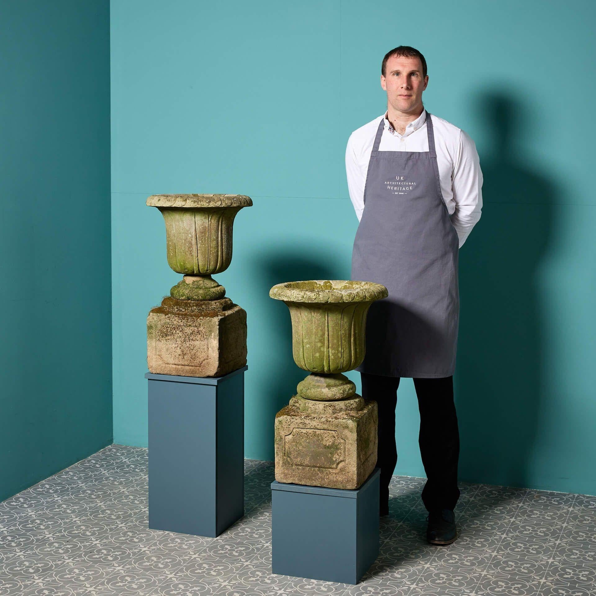 Paire d'urnes anciennes en grès sculpté anglais.
Avec de magnifiques sommets en forme de tulipe et une belle finition vieillie du grès, cette paire présentera parfaitement un éventail de plantes tout en conservant son aspect grandiose.
 
Dimensions