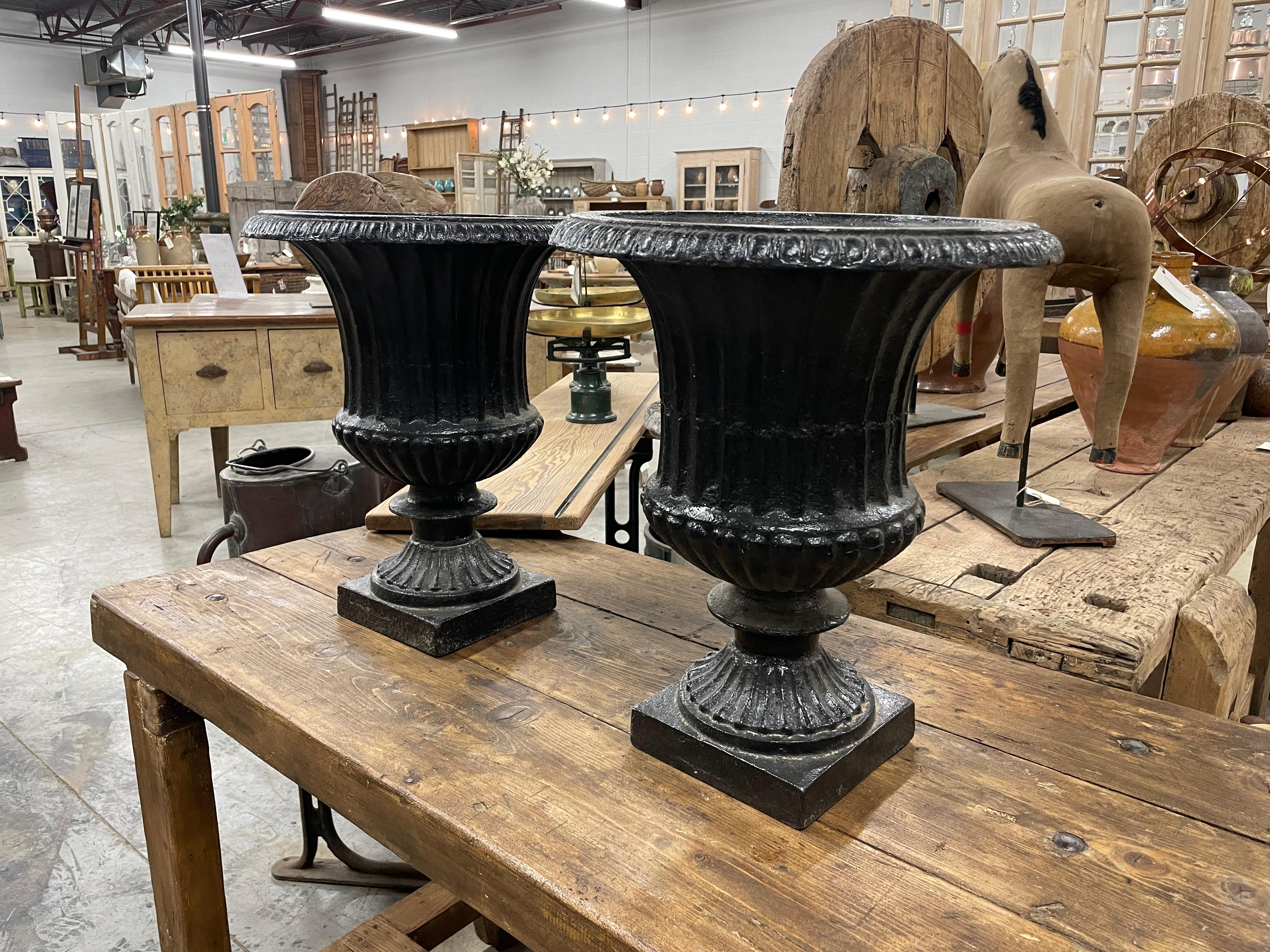 Pair of antique Victorian English country garden cast iron urns. These traditional campana urns have a semi-lobed and fluted body on a rising circular stem sitting on a square base, with an egg and dart rim.

Smaller in size and therefore suitable