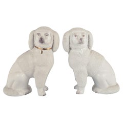 Coppia di antichi cani inglesi in porcellana Staffordshire. Circa 1900