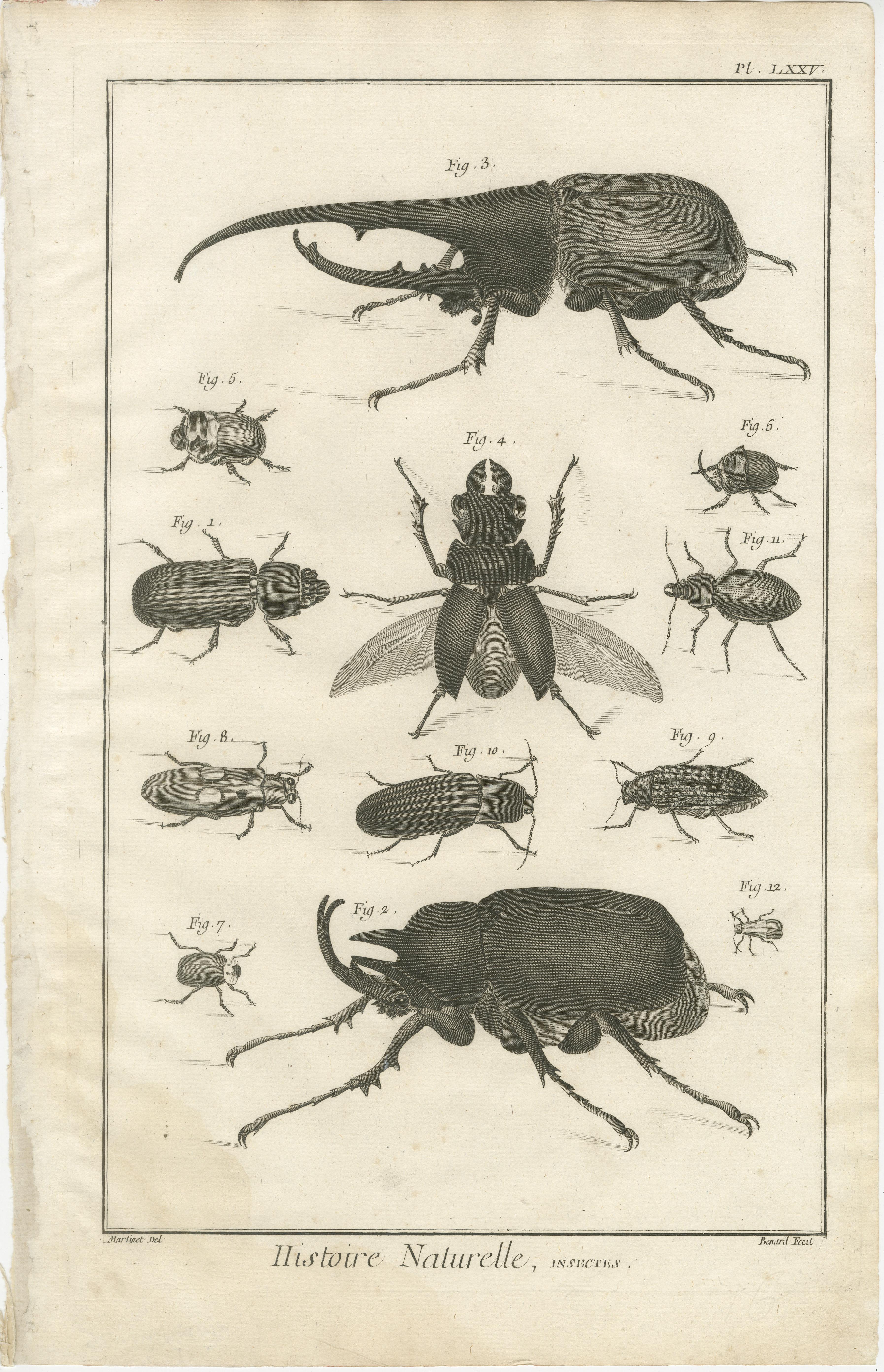 Paire de gravures anciennes de coléoptères et d'insectes tirées de l'Encyclopédie de Diderot, vers 1770

Paire de gravures sur cuivre finement détaillées extraites de la monumentale Encyclopédie ou Dictionnaire raisonné des sciences, des arts et des