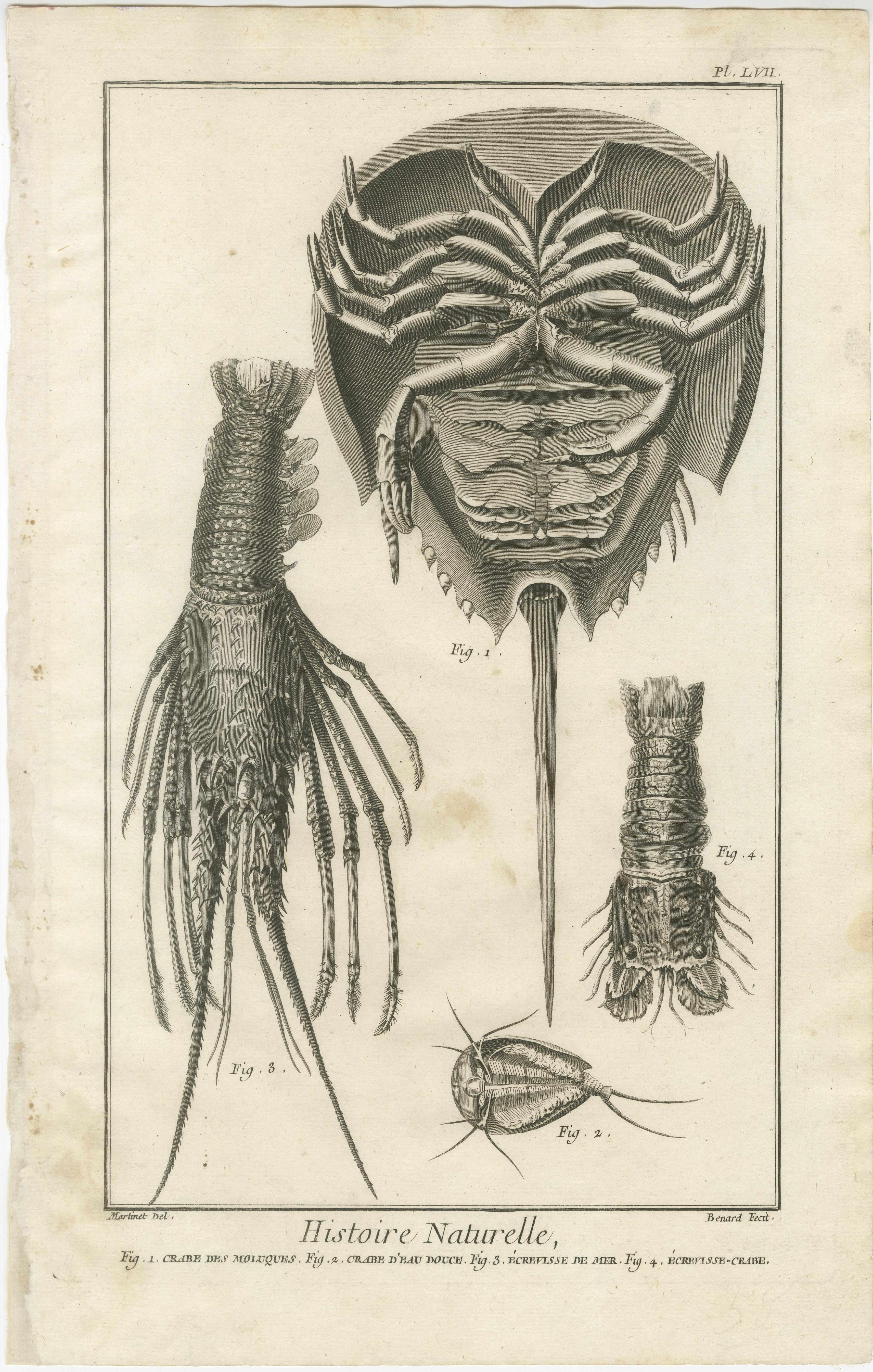 Paire de gravures anciennes de crabes tirées de l'Encyclopédie de Diderot et d'Alembert, vers 1770

Une belle paire de gravures sur cuivre tirées de l'Encyclopédie ou Dictionnaire raisonné des sciences, des arts et des métiers de Denis Diderot et