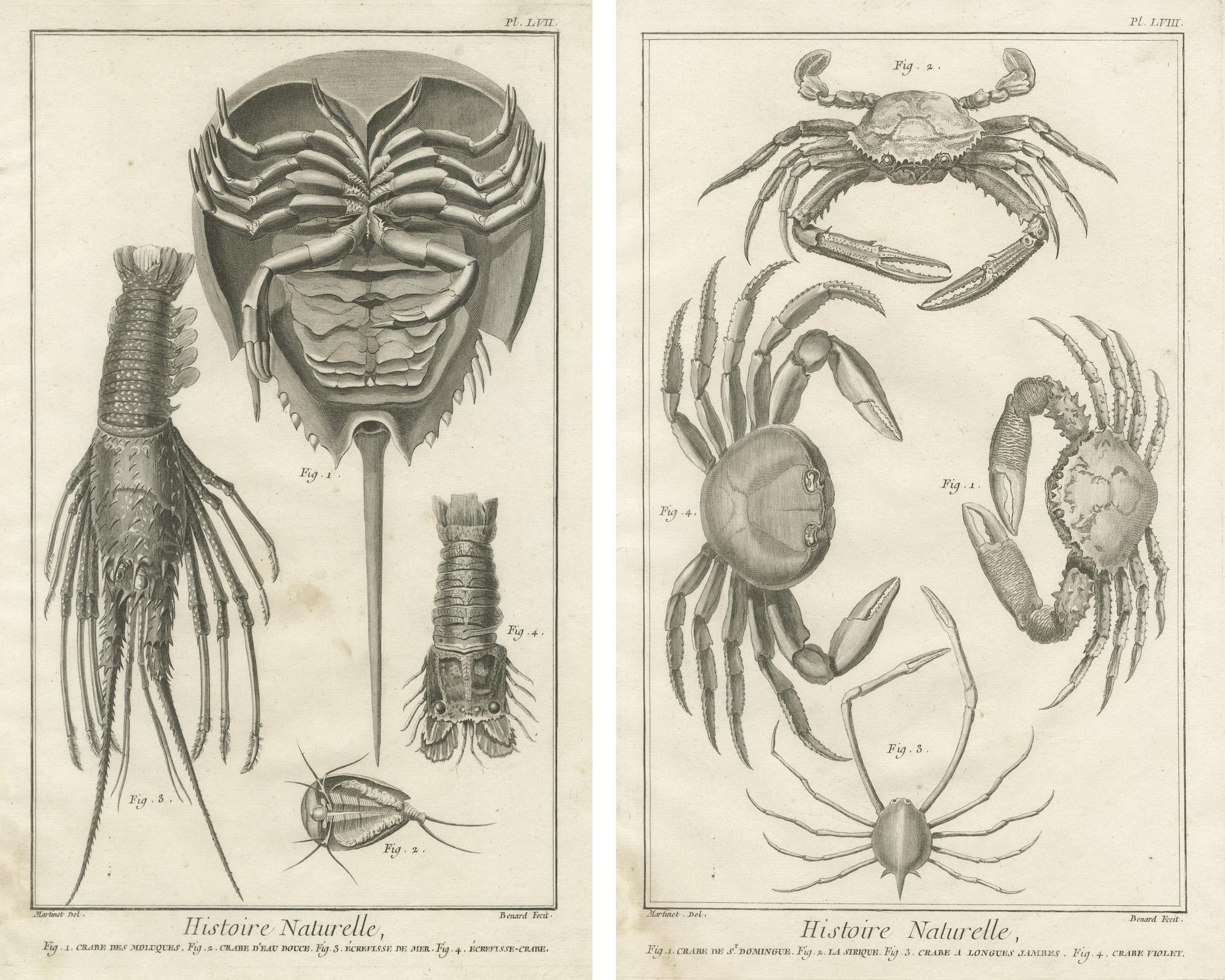 Gravé Paire de gravures anciennes de crabes - Encyclopédie de Diderot et d'Alembert, 1770 en vente