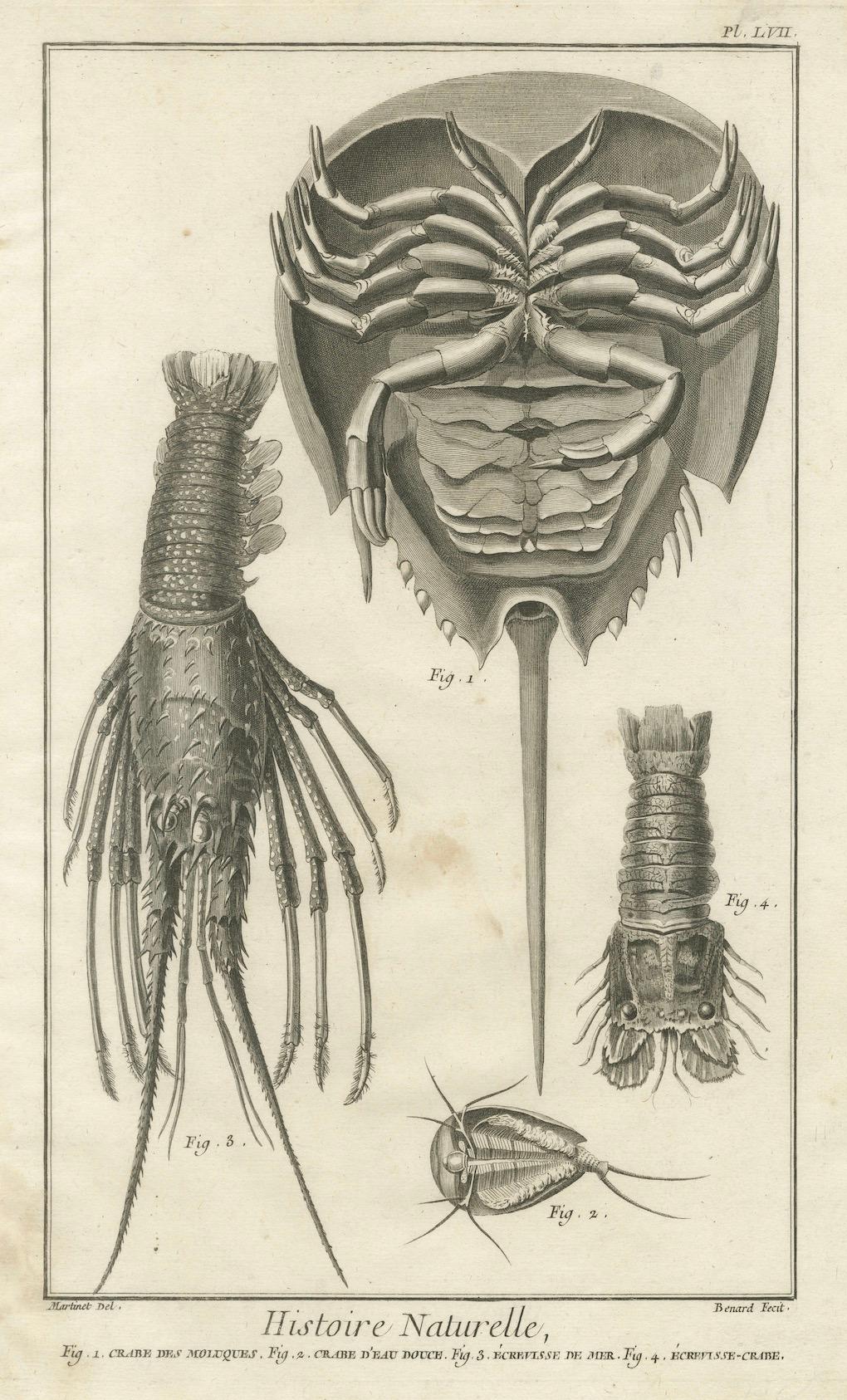 Fin du XVIIIe siècle Paire de gravures anciennes de crabes - Encyclopédie de Diderot et d'Alembert, 1770 en vente