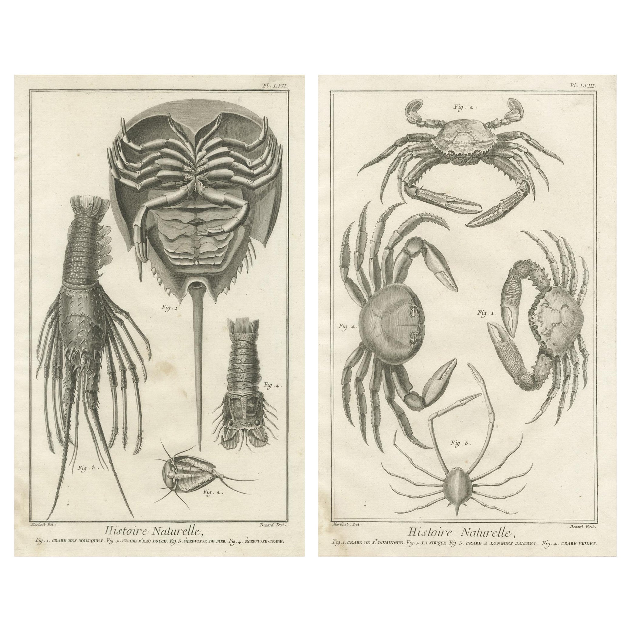 Paire de gravures anciennes de crabes - Encyclopédie de Diderot et d'Alembert, 1770 en vente