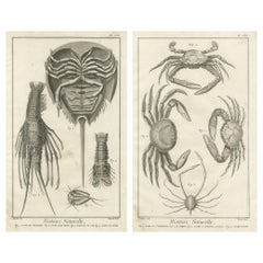 Pair of Antique Engravings of Crabs - Diderot & d’Alembert’s Encyclopédie, 1770