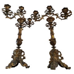 Pair of Antique European Rococo Rocaille Gilt Bronze Candelabras