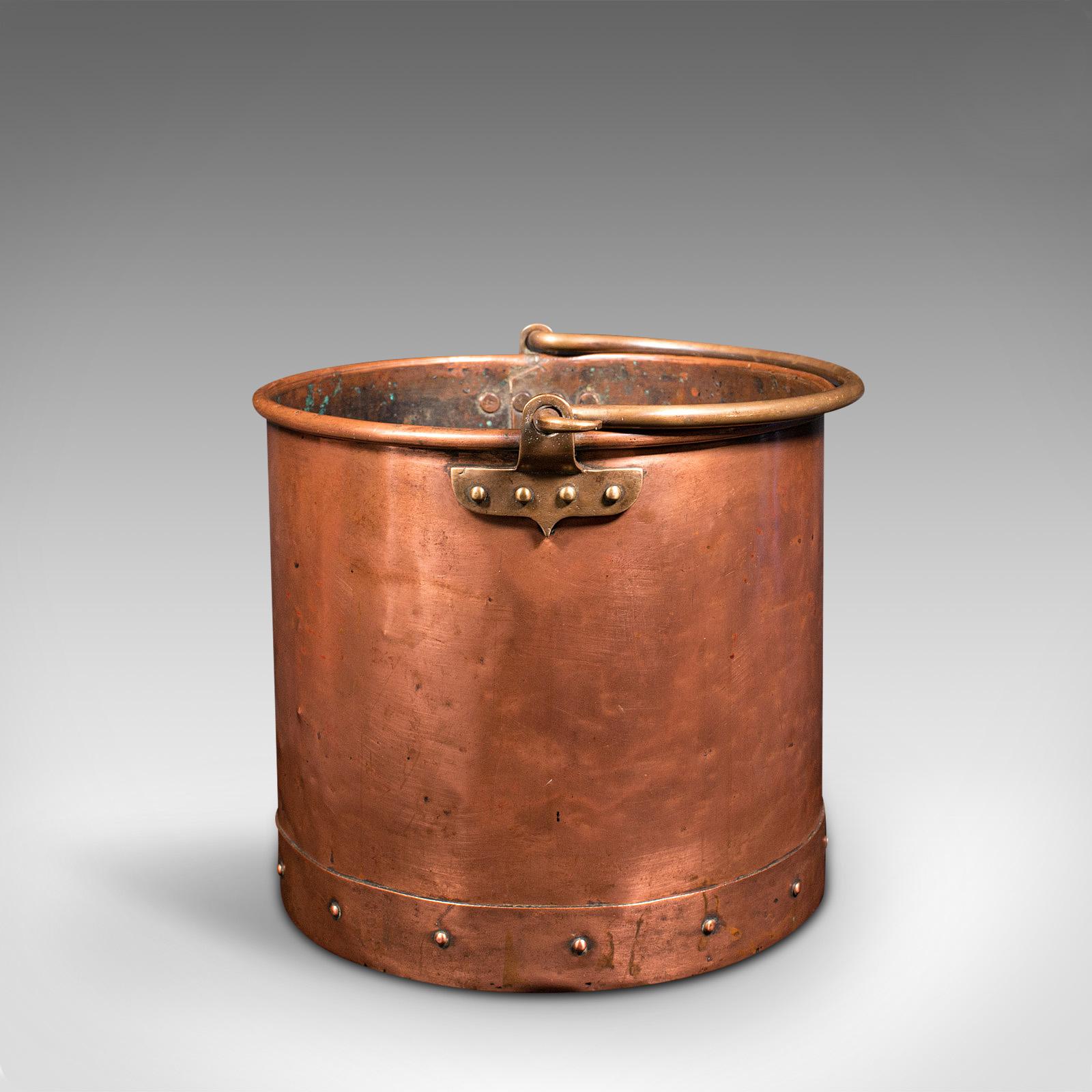 Pair of Antique Fireside Bins, English, Copper, Coal, Fire Bucket, Victorian 2