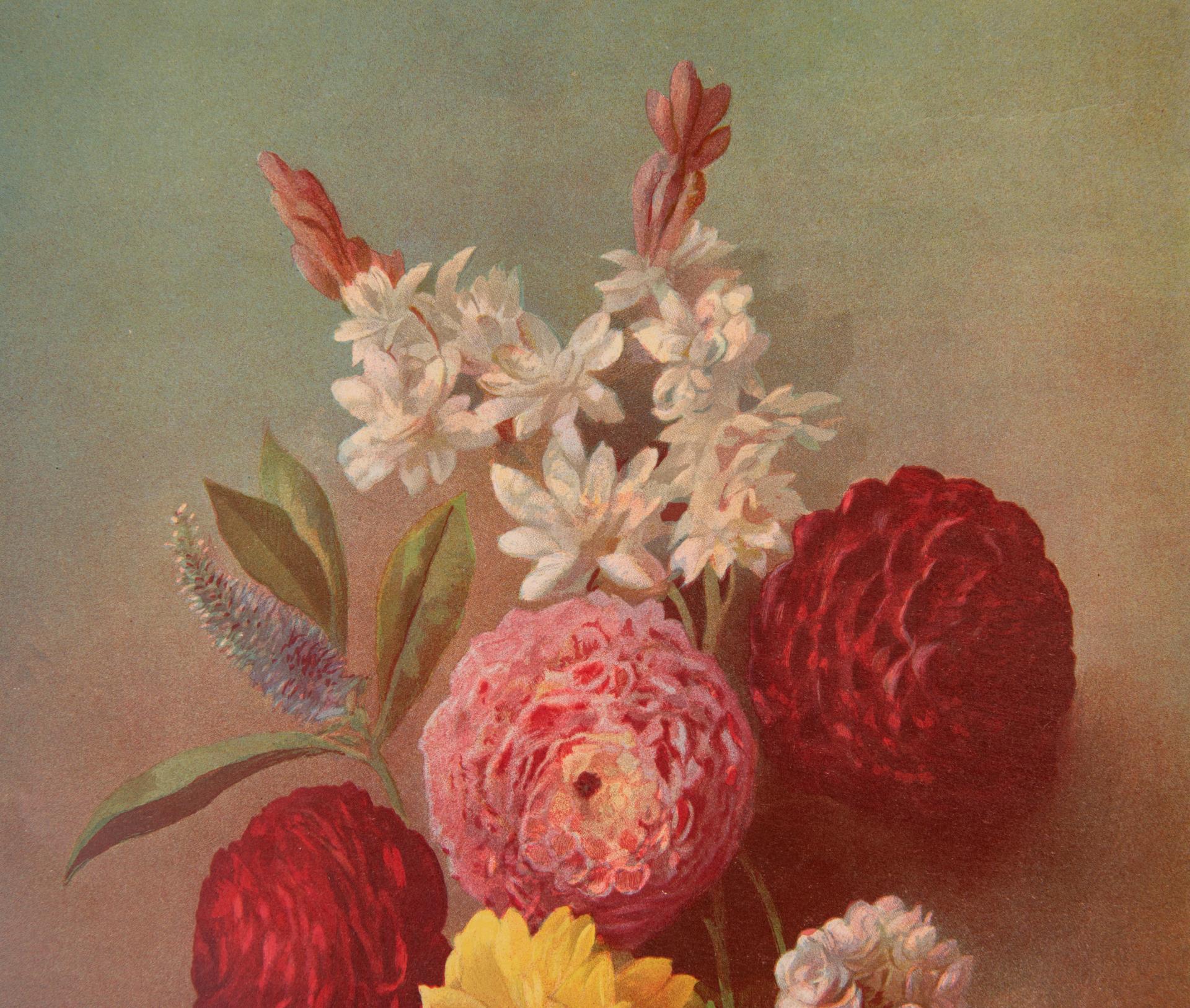 Pair of Antique Flower Prints For Sale 5