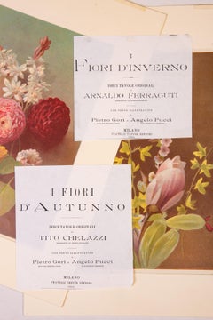 Pair of Antique Flower Prints