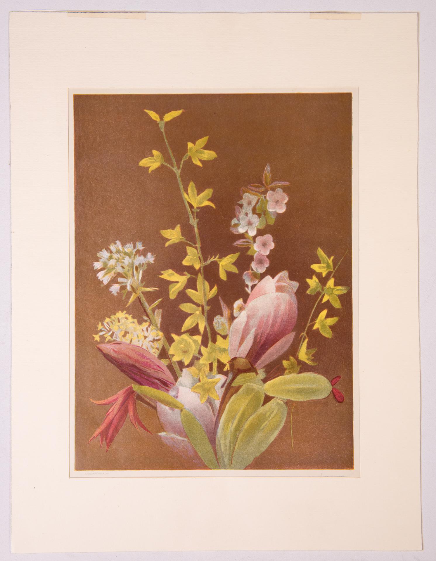 Other Pair of Antique Flower Prints For Sale
