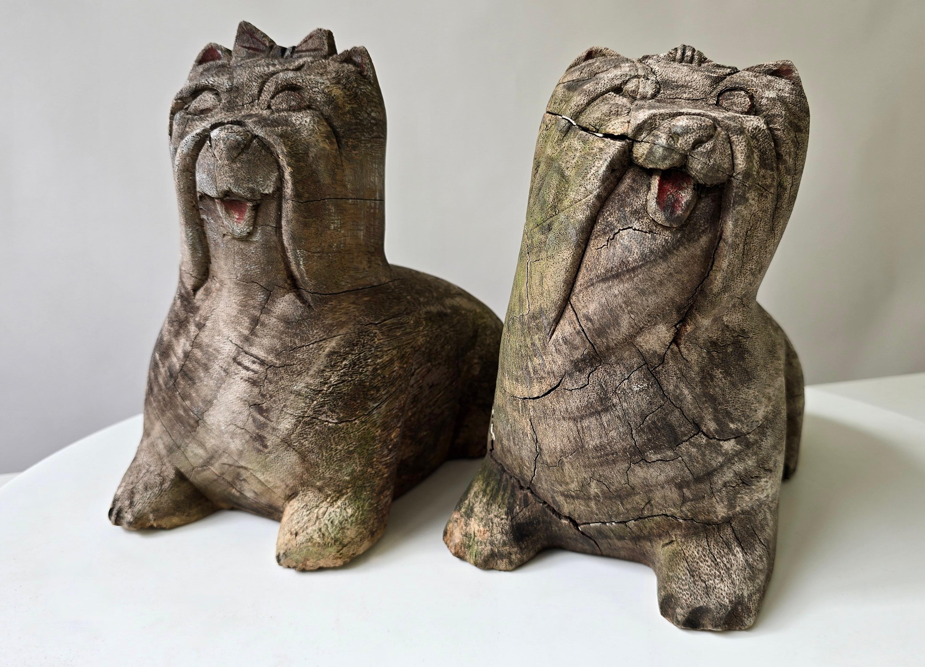 Pair of Antique Folk Art Carved Wooden Maltese Dog Sculptures, Early 20th Century

A whimsical pair of early 20th century folk art Maltese dog sculptures, hand-carved from solid wood. Each figure has joyful expression and stylized details, with one