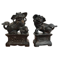 Pair of Antique Foo Dogs in ceramic, China 19th Century