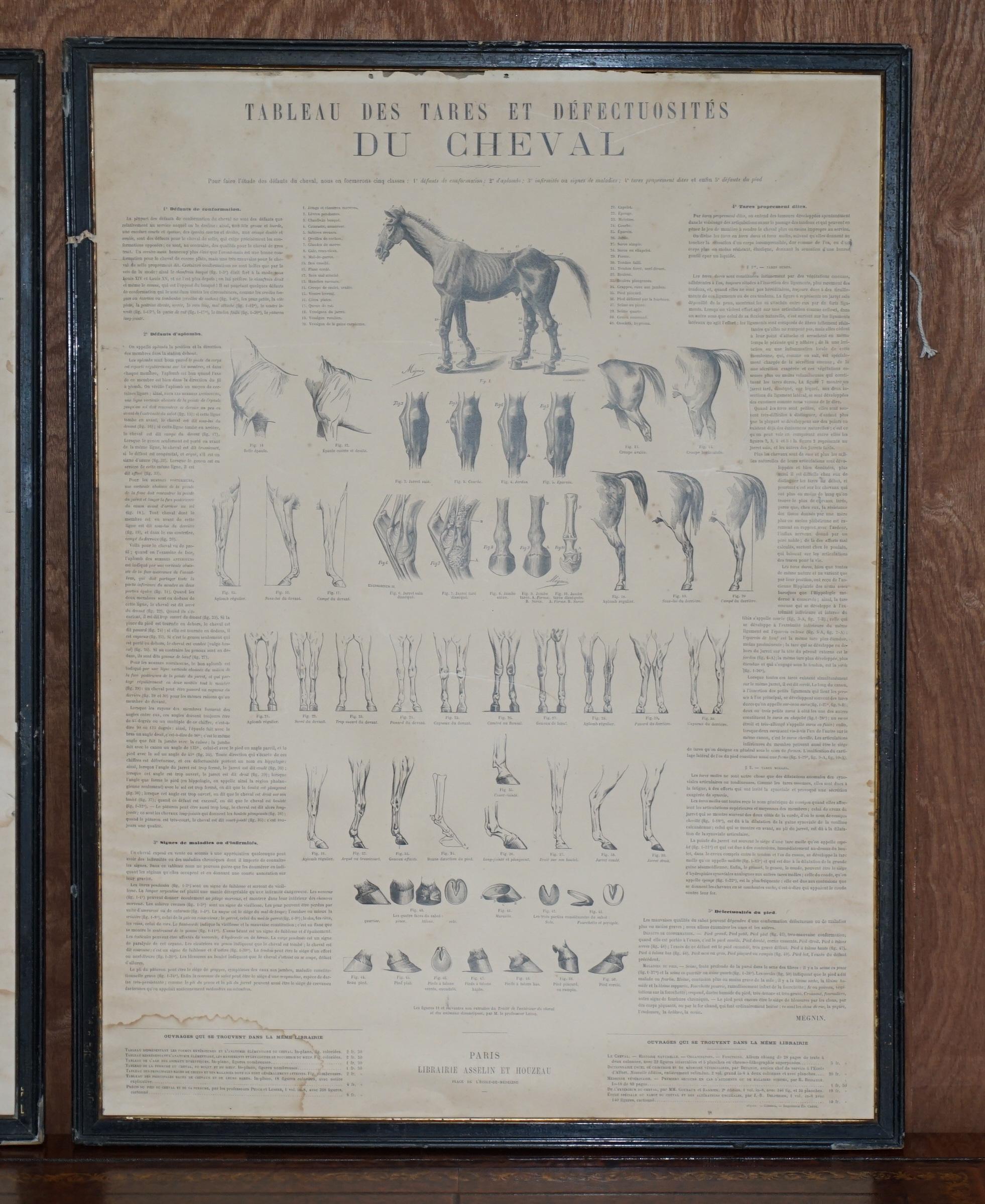 19th Century Pair of Antique French Anatomical Equestrian Prints of Horse Anatomy and Defects