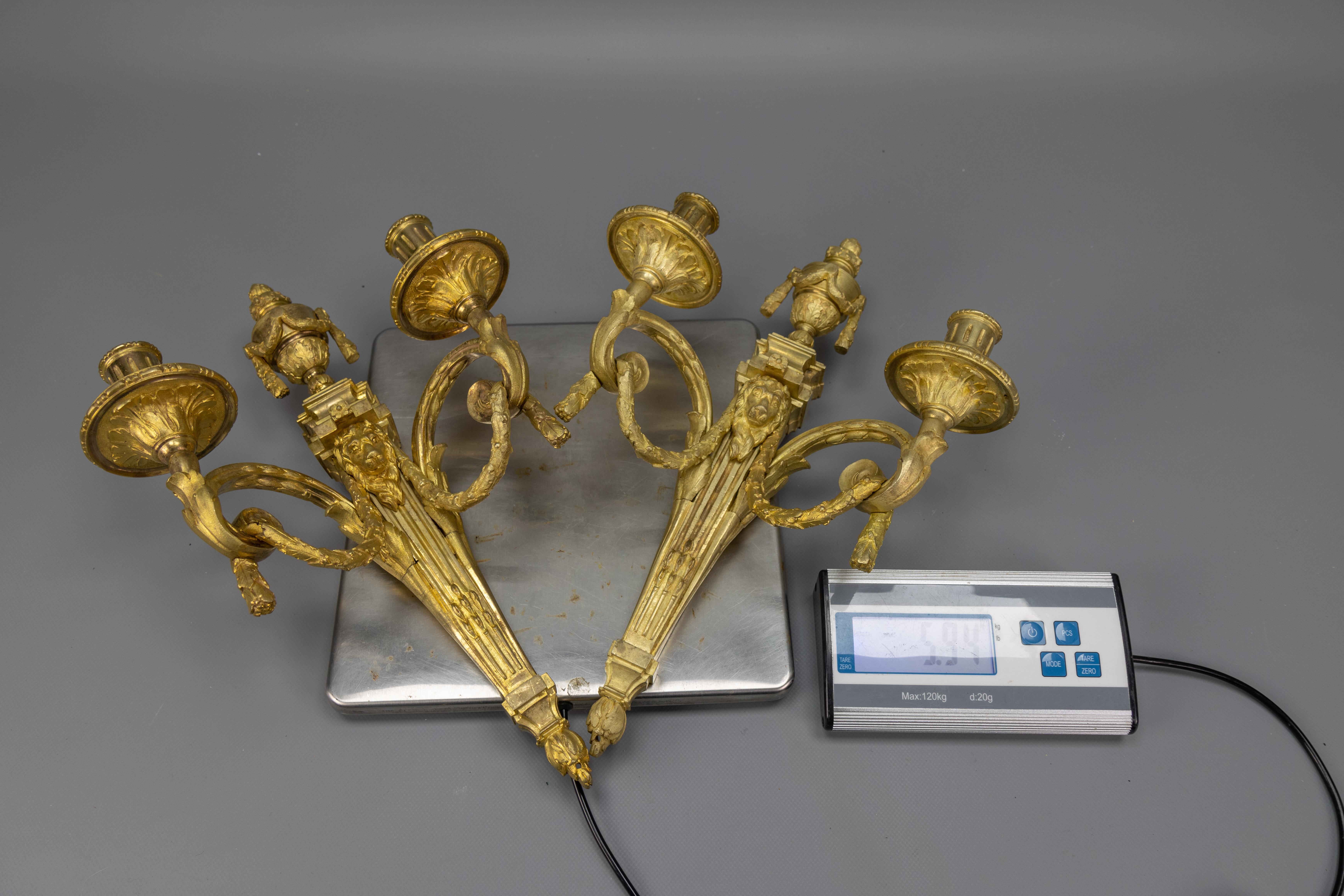 Coppia di candelabri da parete in bronzo francese con teste di leone, 1890 ca. in vendita 13