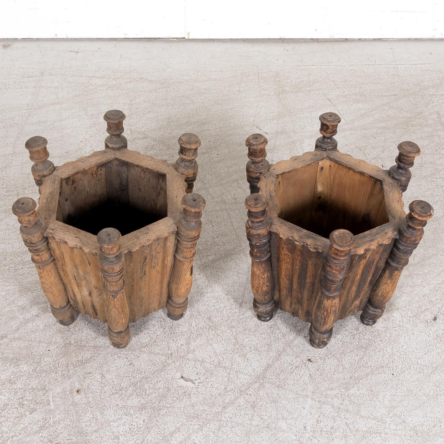 20th Century Pair of Antique French Carved Oak Hexagonal Planters or Jardinieres For Sale