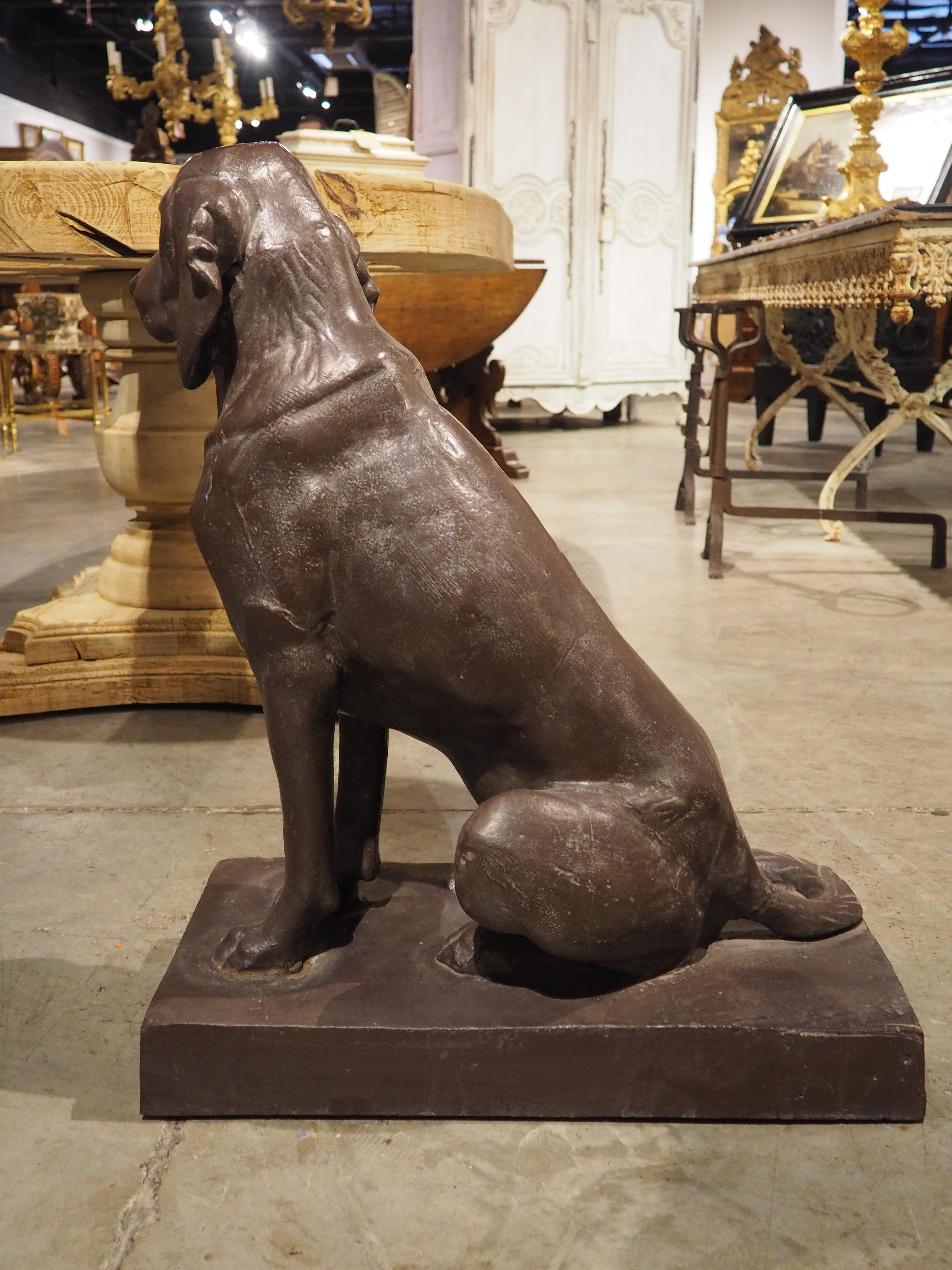 Weitere Informationen folgen in Kürze...

Nach den originalen Jagdhunden von Alfred Jacquemart aus den 1800er Jahren ist dieses Paar französischer Gusseisenskulpturen aus der Zeit um 1900.  Beide Hunde sind sitzend abgebildet, der eine mit Halsband,