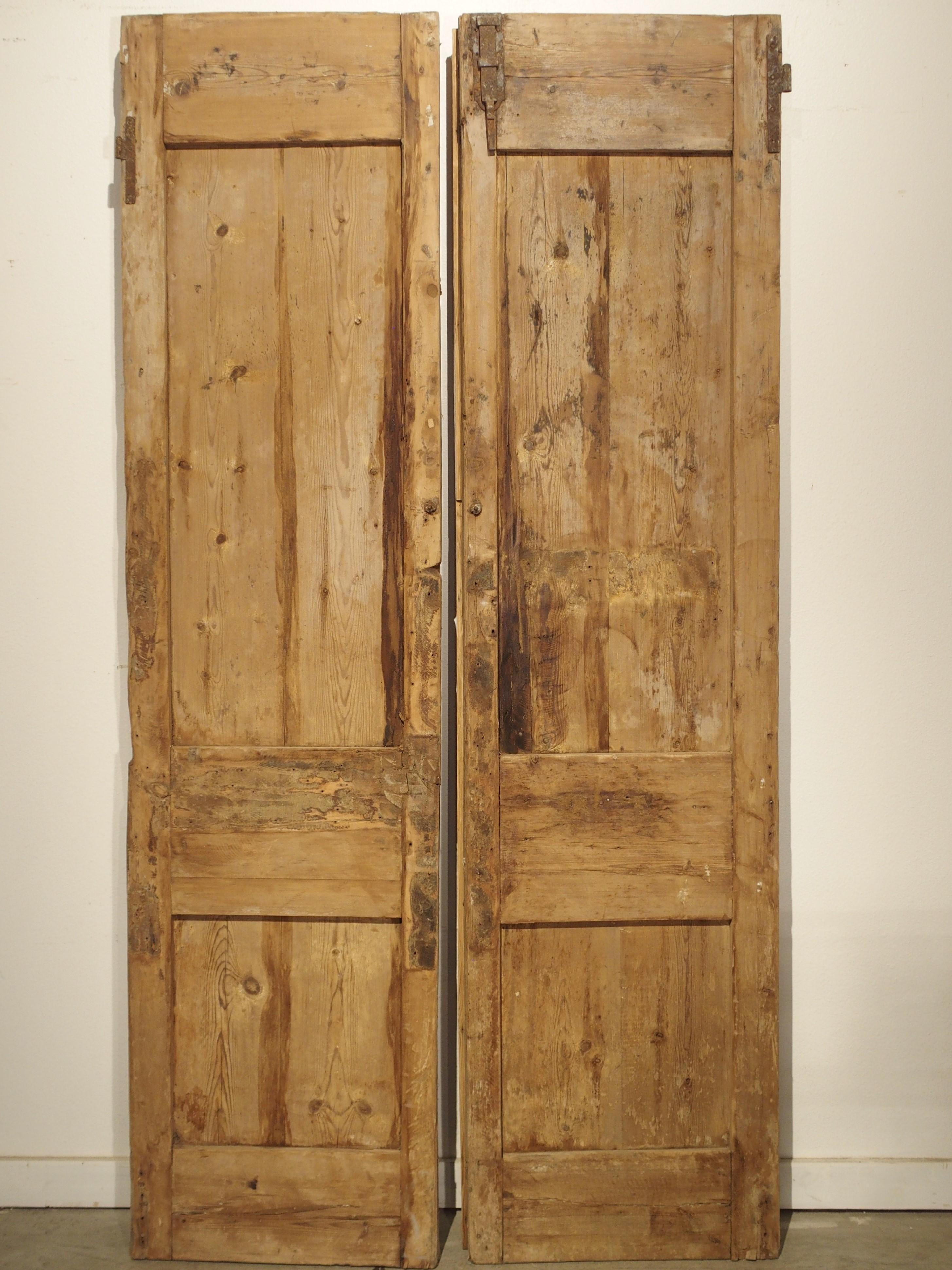 Pair of Antique French Egyptian Pine Doors with Carved Bird Motifs 9