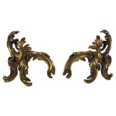 Paire de chenets français anciens de style Louis XV Rococo en bronze doré