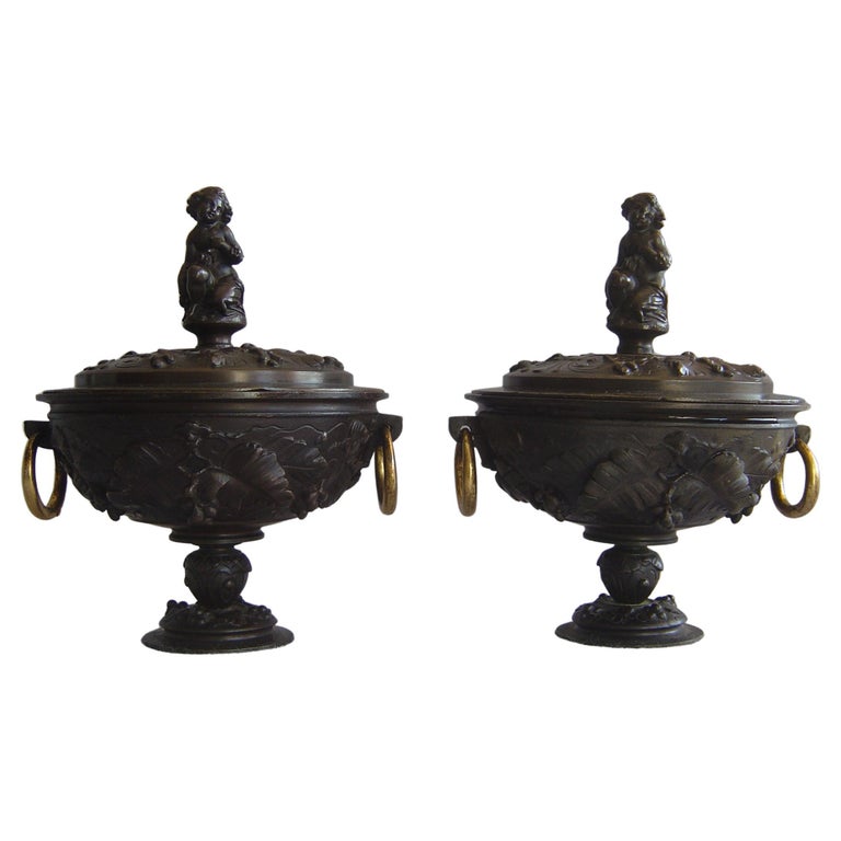 Pair of Antique French Patinated Bronze Lidded Urns For Sale at 1stDibs