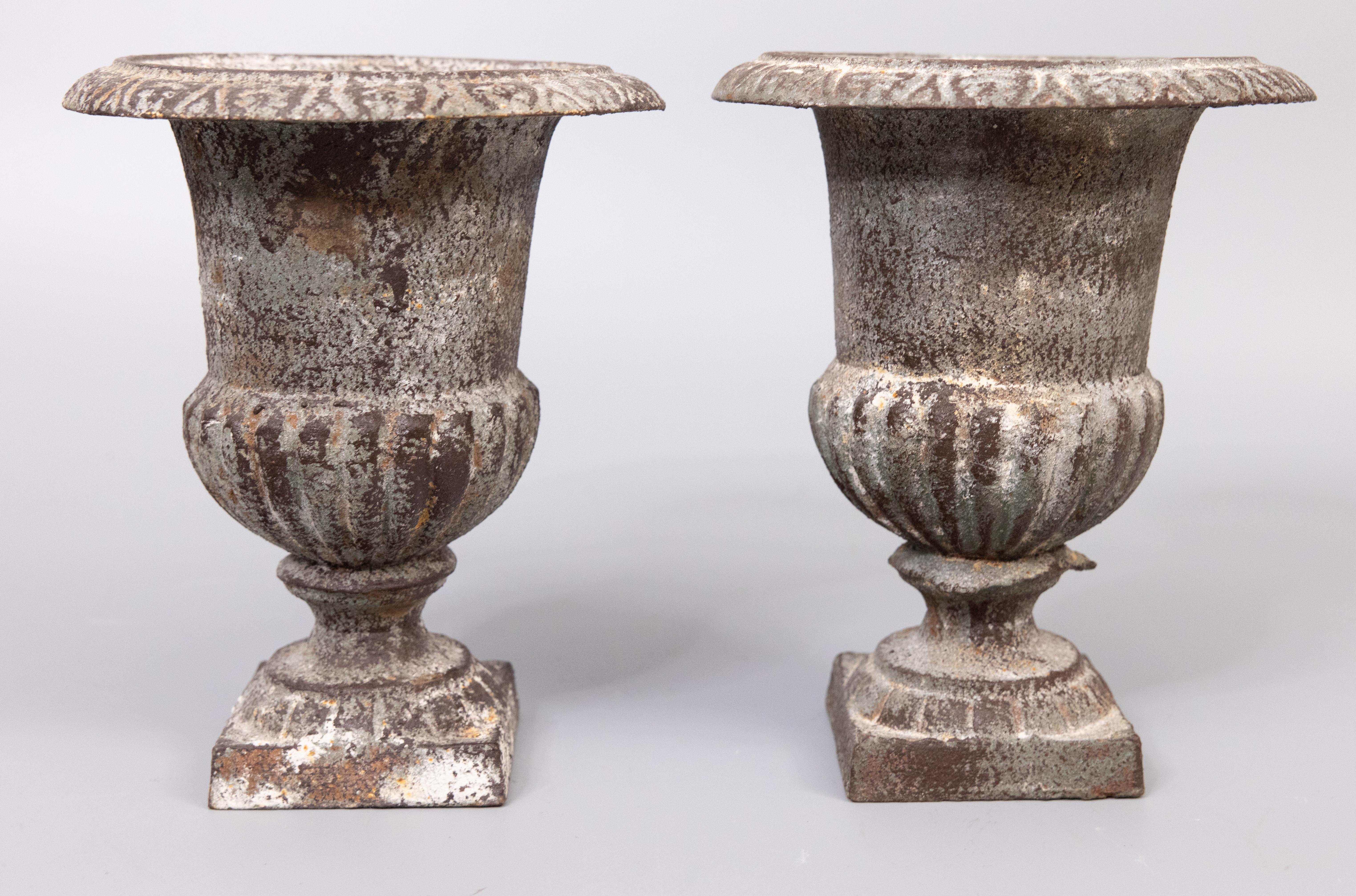 A charming petite pair of antique early 20th-Century French neoclassical style cast iron garden urns or planters with the original surface and patina. These beautiful jardinieres are heavy and well made with a classic French design in a lovely