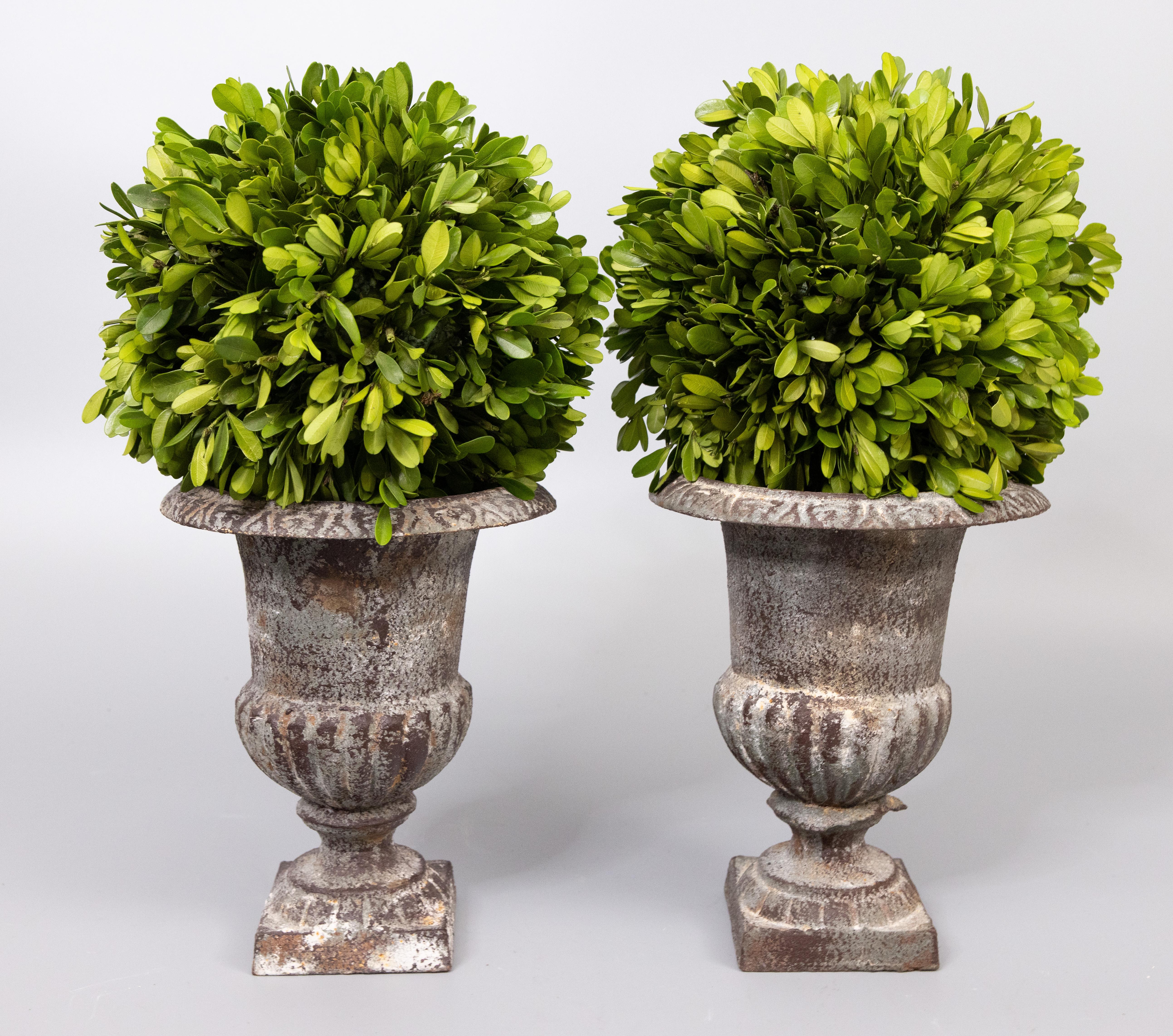 Pair of Antique French Petite Cast Iron Urns Planters In Good Condition For Sale In Pearland, TX