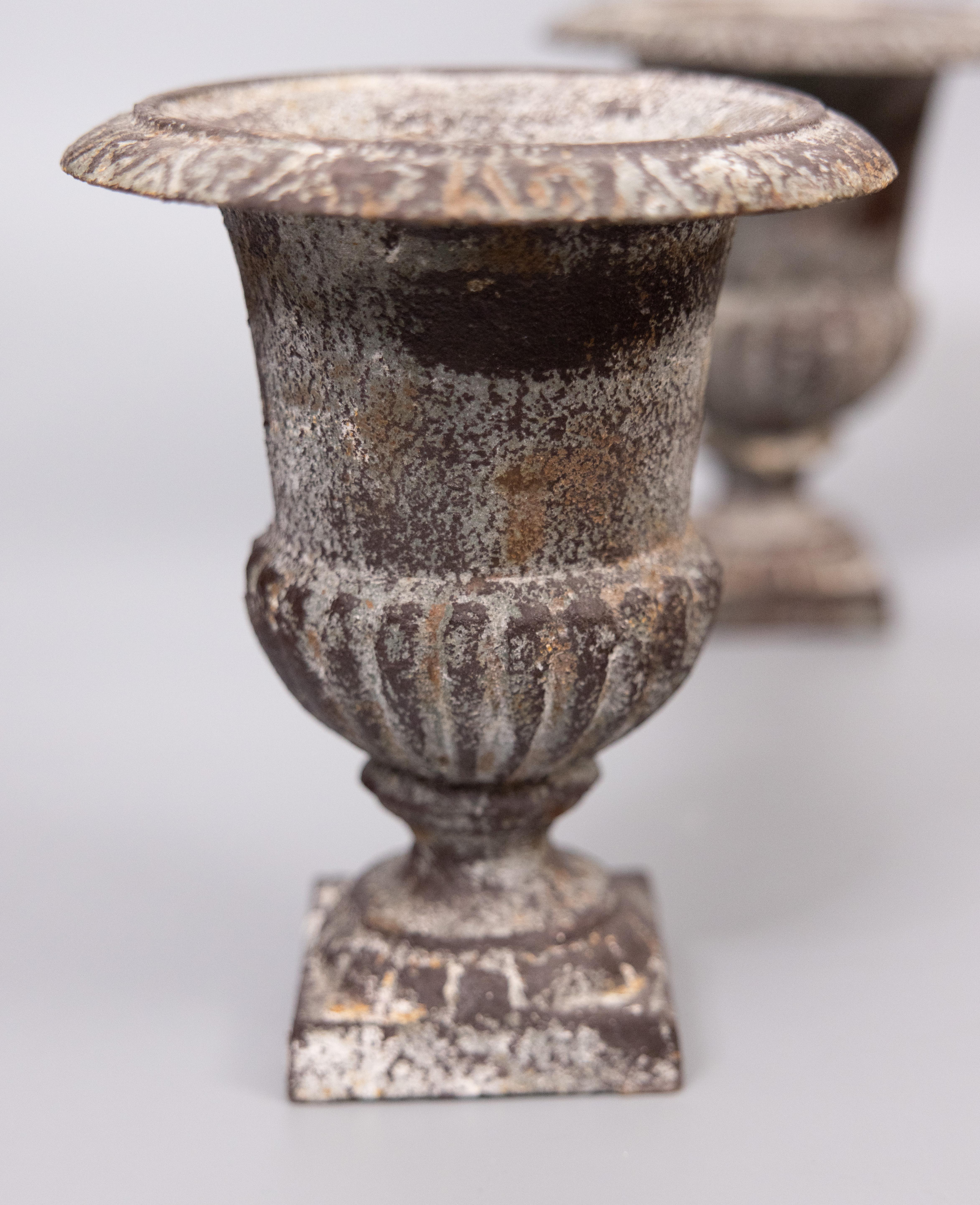 Paar antike französische kleine gusseiserne Urnen-Pflanzgefäße aus Gusseisen (Gegossen) im Angebot