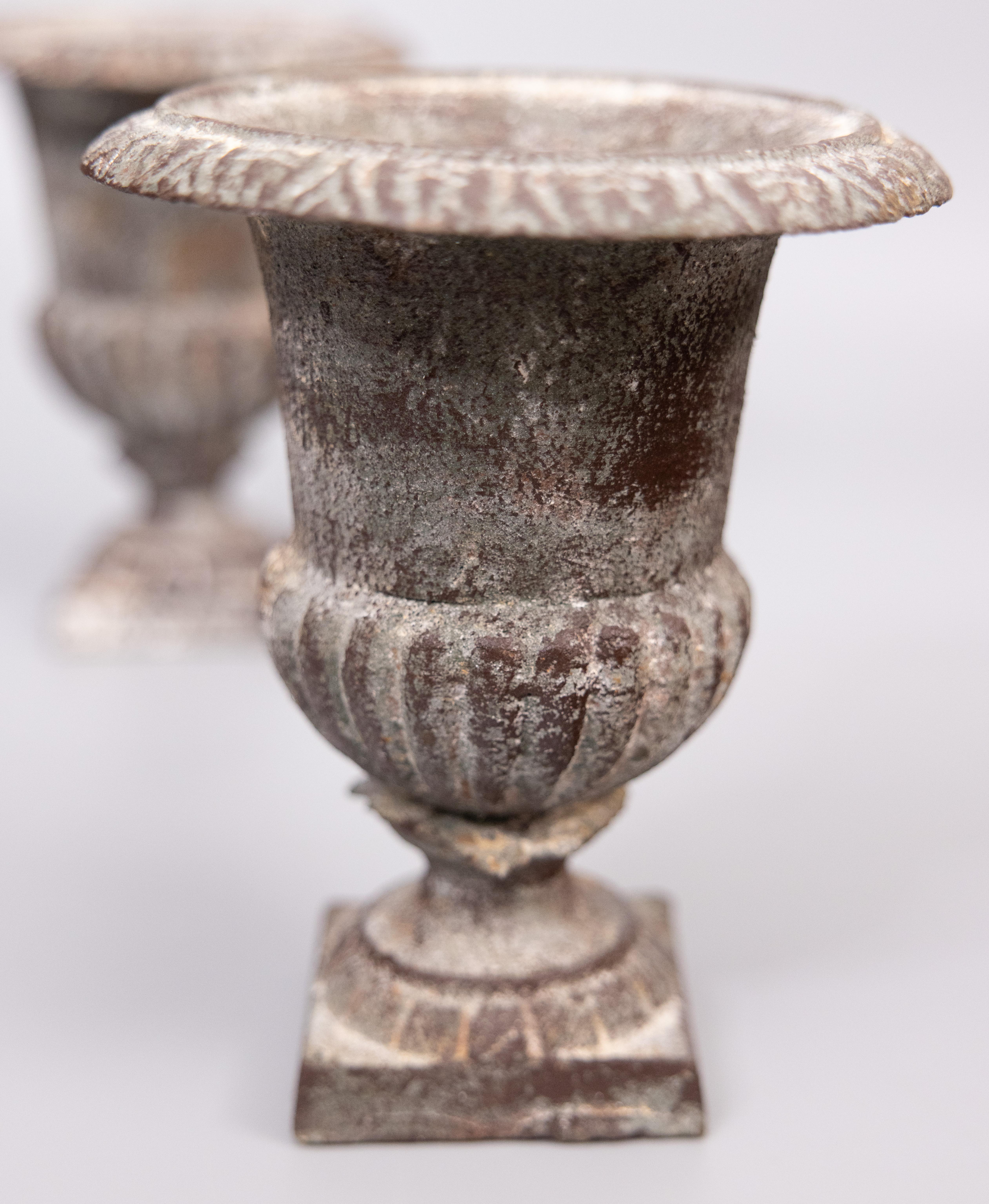Paar antike französische kleine gusseiserne Urnen-Pflanzgefäße aus Gusseisen im Zustand „Gut“ im Angebot in Pearland, TX