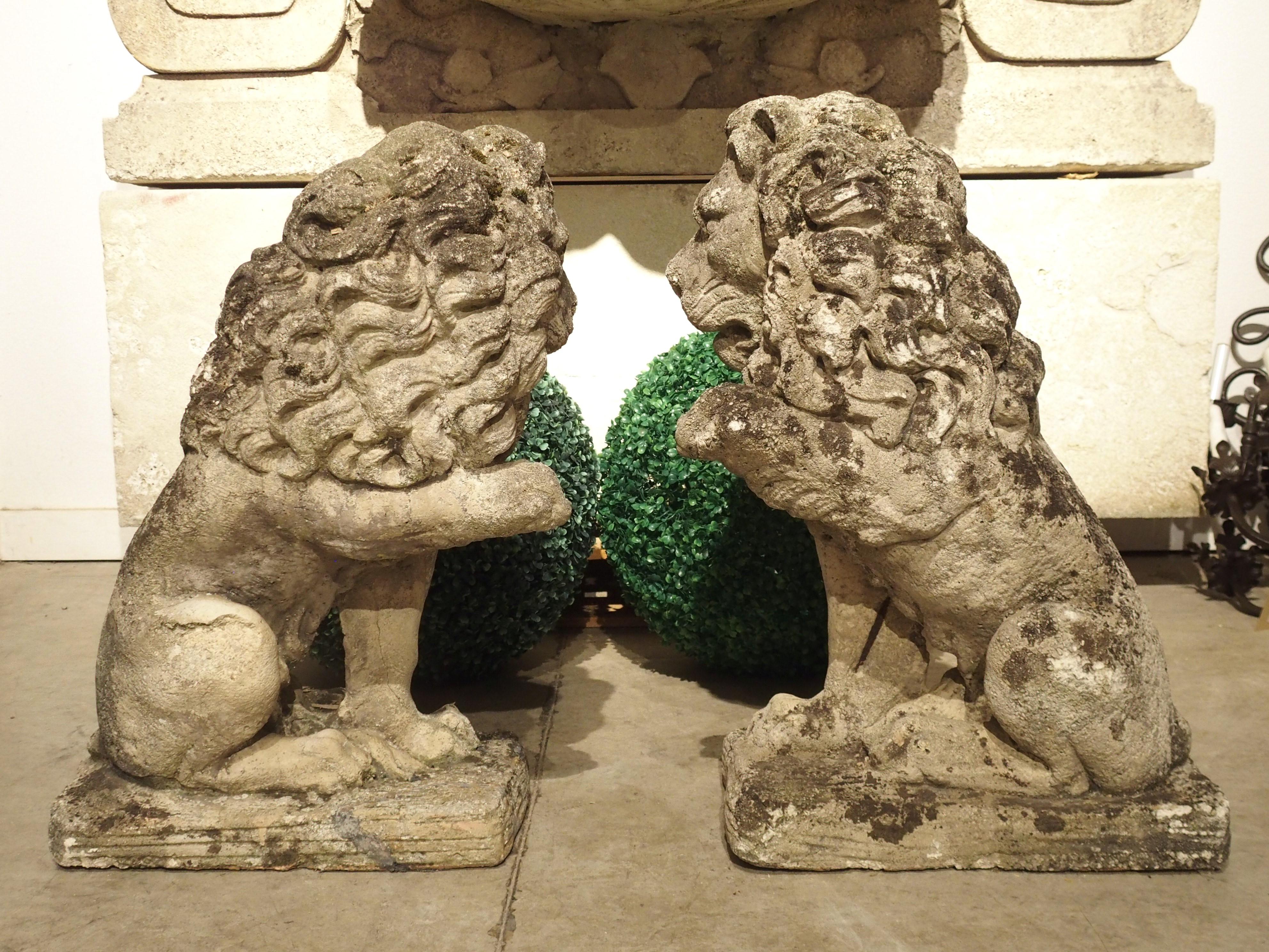 Pair of Antique French Reconstituted Stone Lions, Early 1900s 5