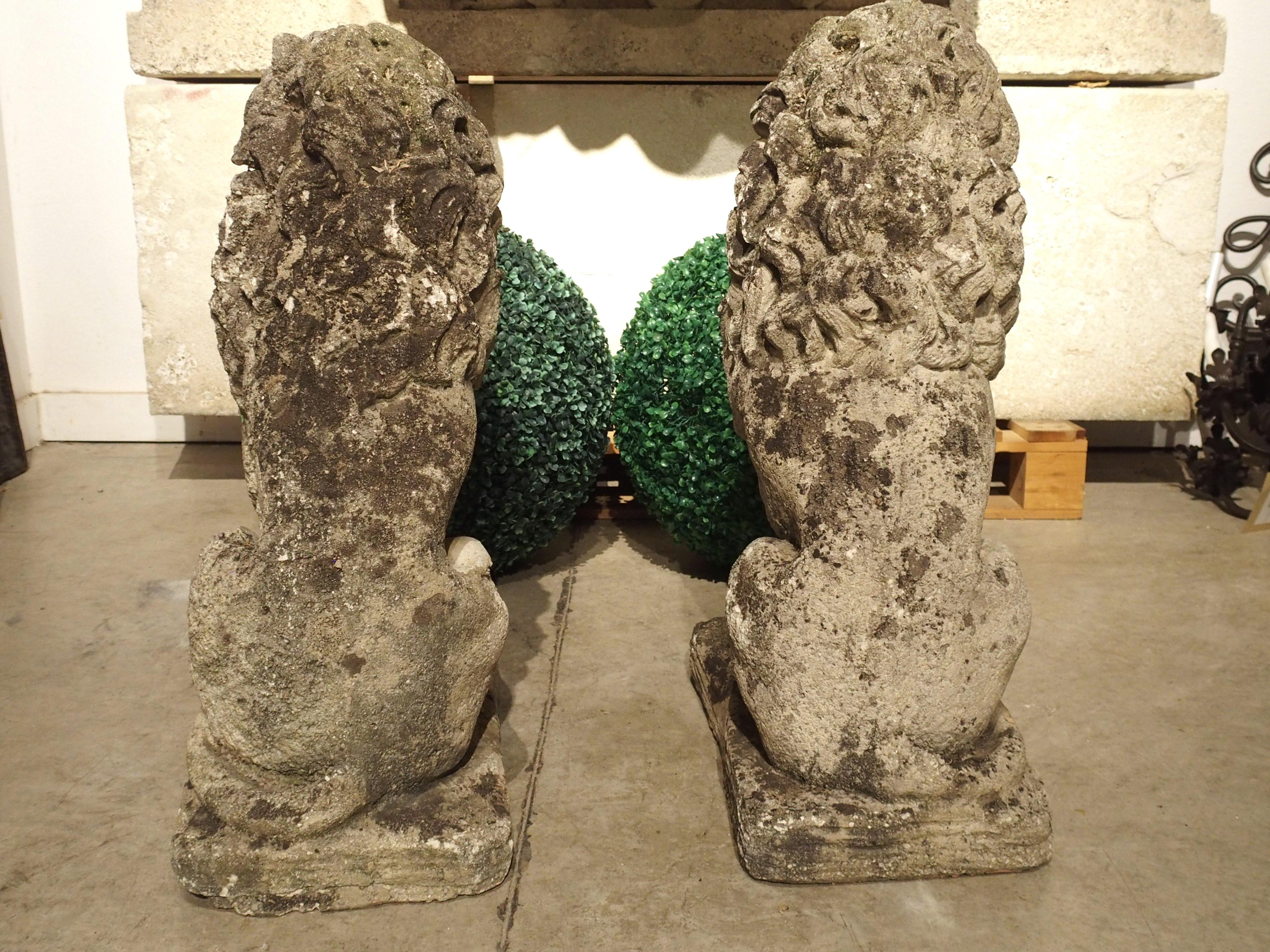 Pair of Antique French Reconstituted Stone Lions, Early 1900s 9