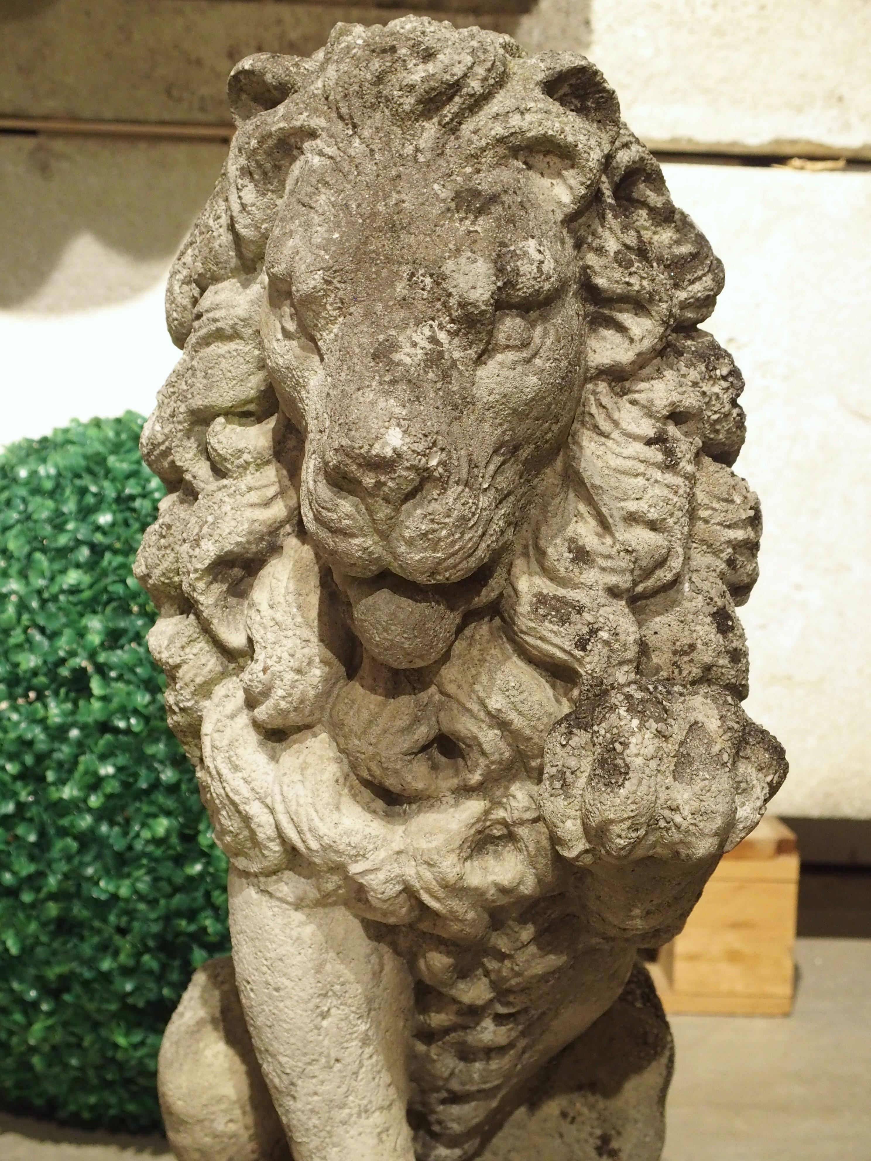 Cast in the early 1900s using reconstituted stone, this pair of stone lions are reminiscent of the famous Medici lion sculptures that currently grace the steps of the Loggia dei Lanzi in Florence. Our lions, which are mirror images of each other,