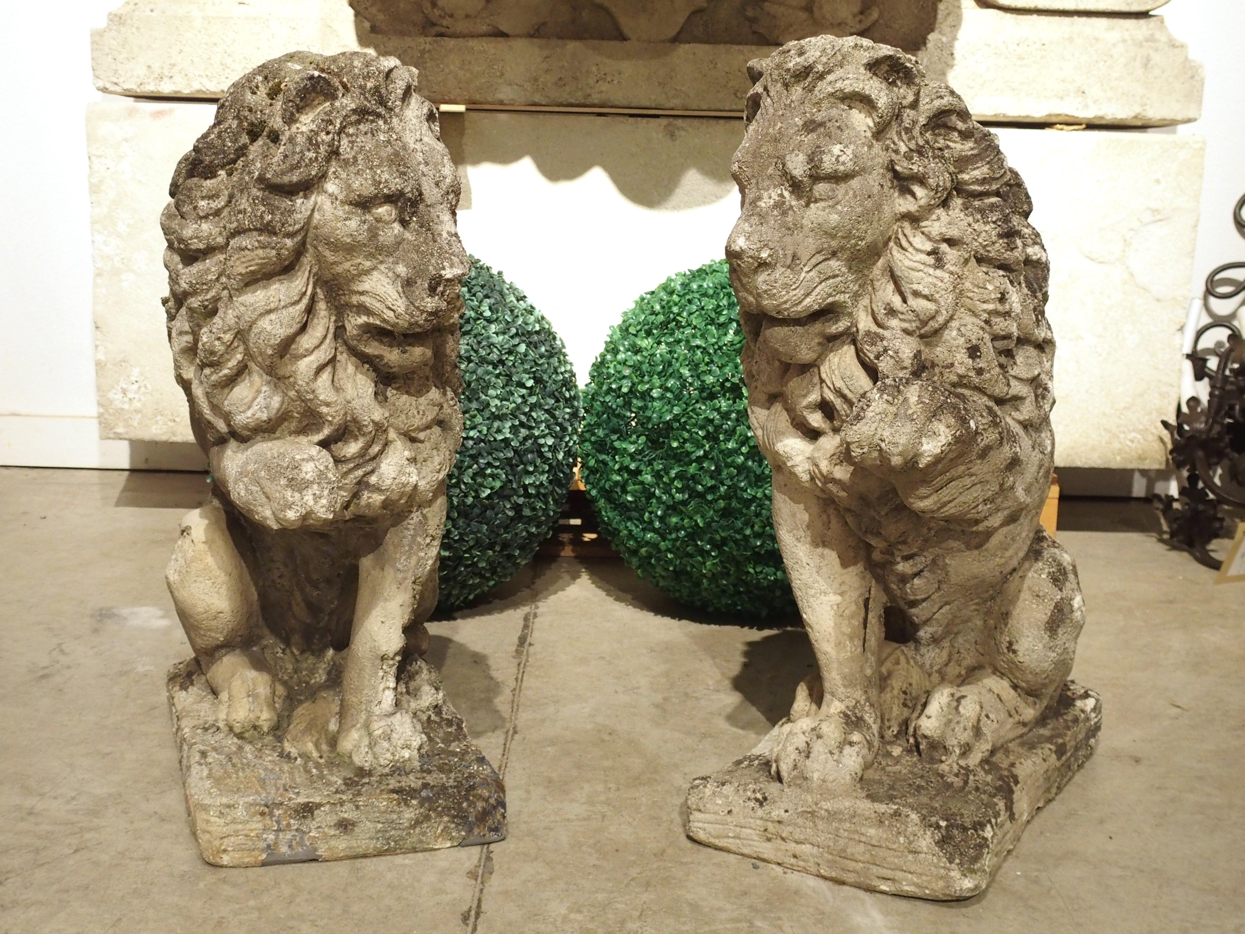 Pair of Antique French Reconstituted Stone Lions, Early 1900s In Good Condition In Dallas, TX