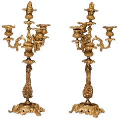 Pair of Antique French Rococo Louis XIV Bronze Candelabra, circa 1850