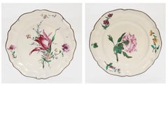 Pair of Antique French Strasbourg Faience Floral Plates
