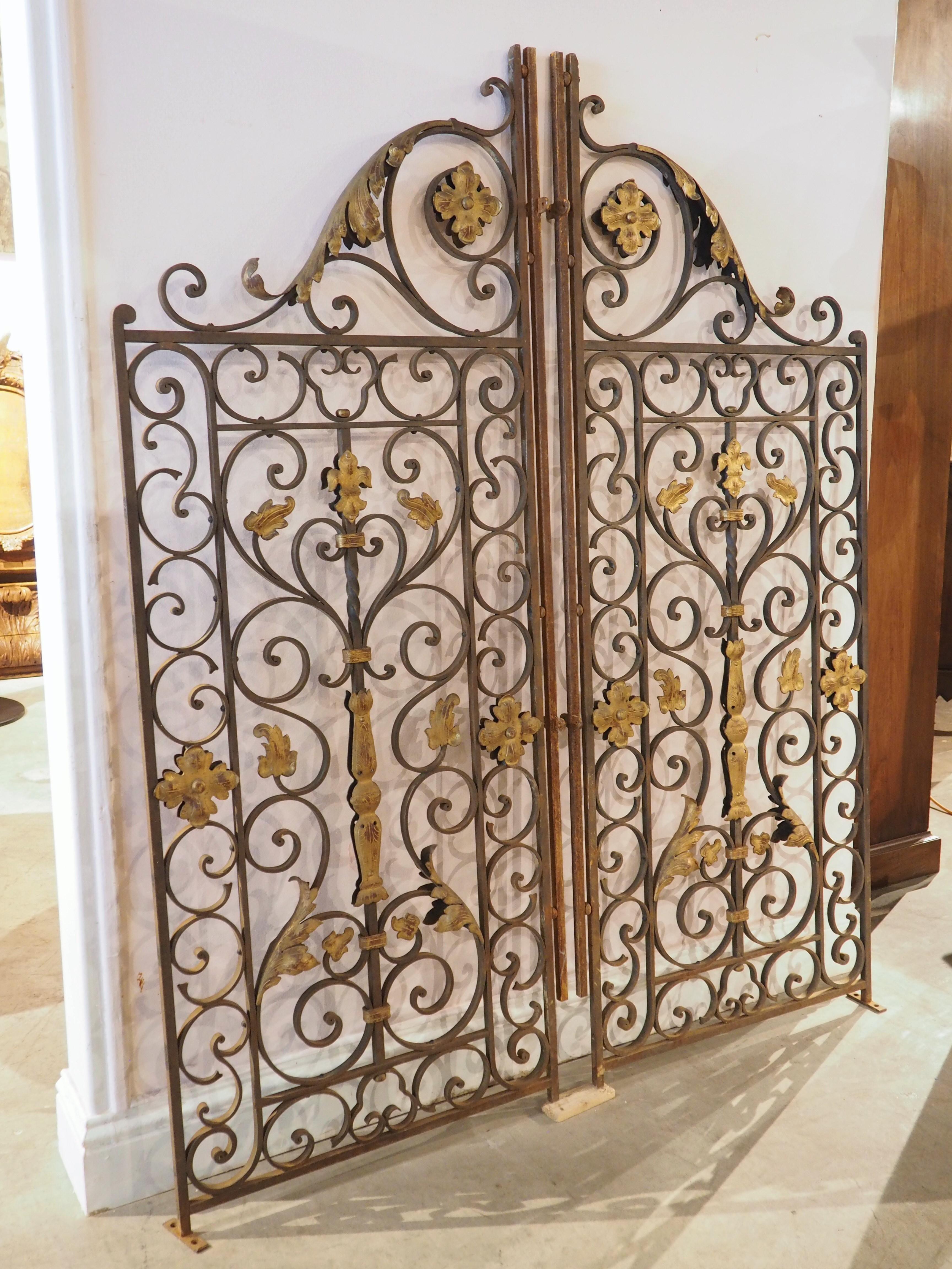 From France, circa 1870, this pair of wrought and gilt iron gates are full of energy and movement. The highly scrolled gates are comprised of an elaborate network of volutes and counter curves, arranged in a roughly rectangular fashion. The quality