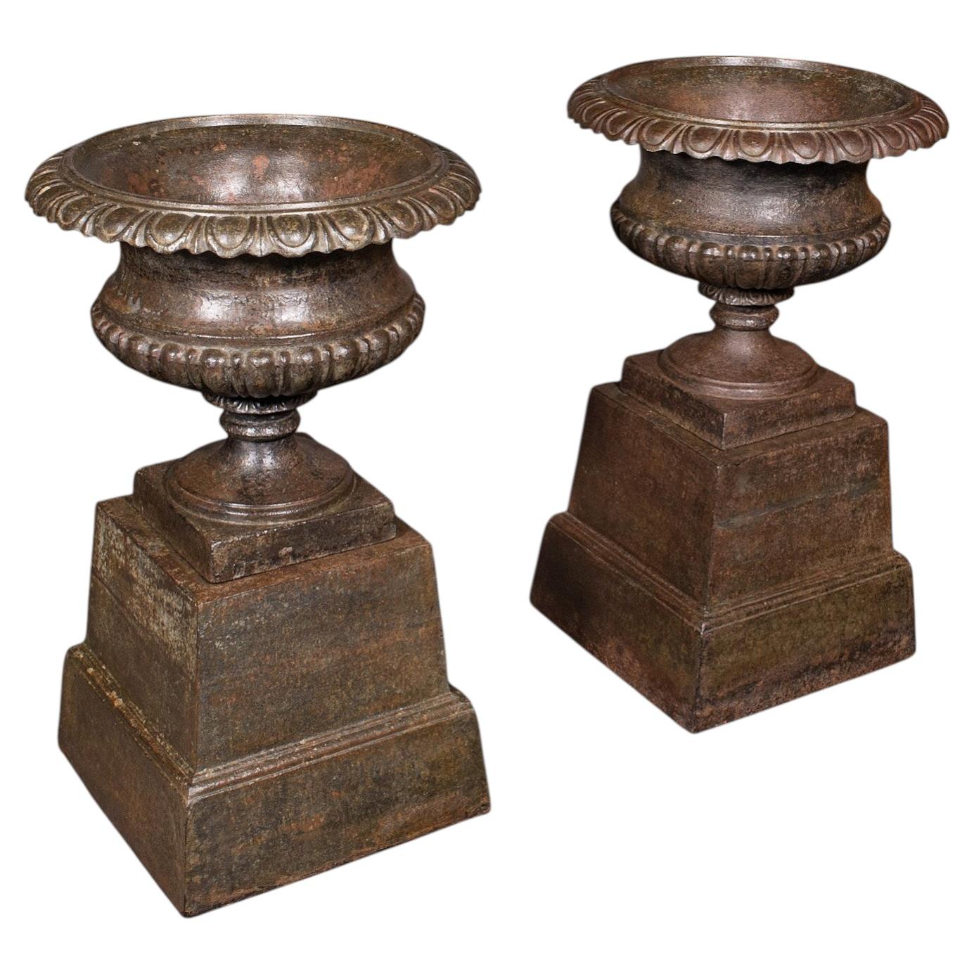 Coppia di fioriere da giardino antiche, inglesi, urne da esposizione per esterni, vittoriane, C.C.