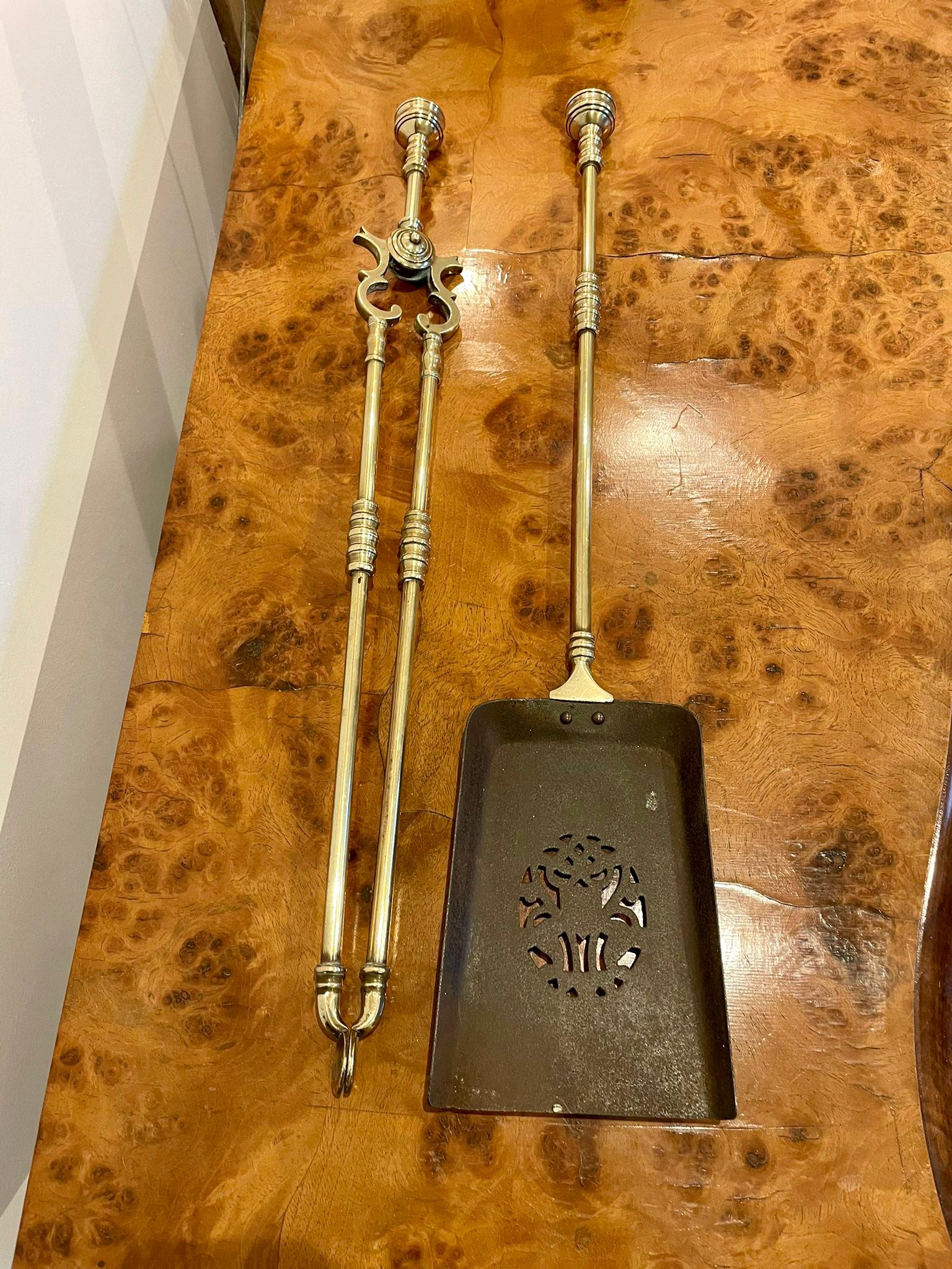 Coppia di antichi ferri da stiro in ottone di Giorgio IIIl con una pala in ottone di qualità e una coppia di pinze da fuoco con sommità ornate.

Misure: 68 x 14 x 4 cm
Data 1800.
 