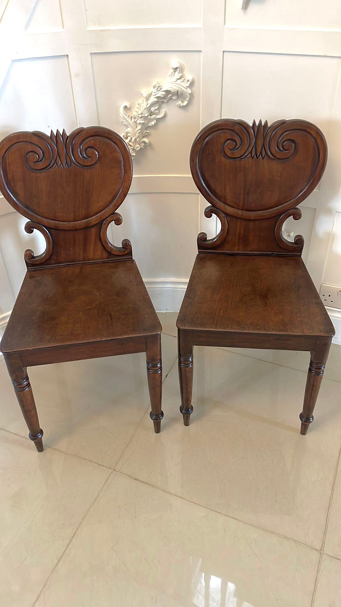 Pair of antique George III quality mahogany hall chairs having a quality carved mahogany scroll shaped back, solid mahogany seats standing on turned tapering legs to the front out swept back legs

A charming pair boasting a wonderful