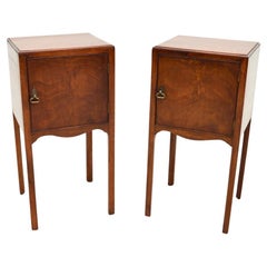 Pair of Antique Georgian Style Bedside Cabinets