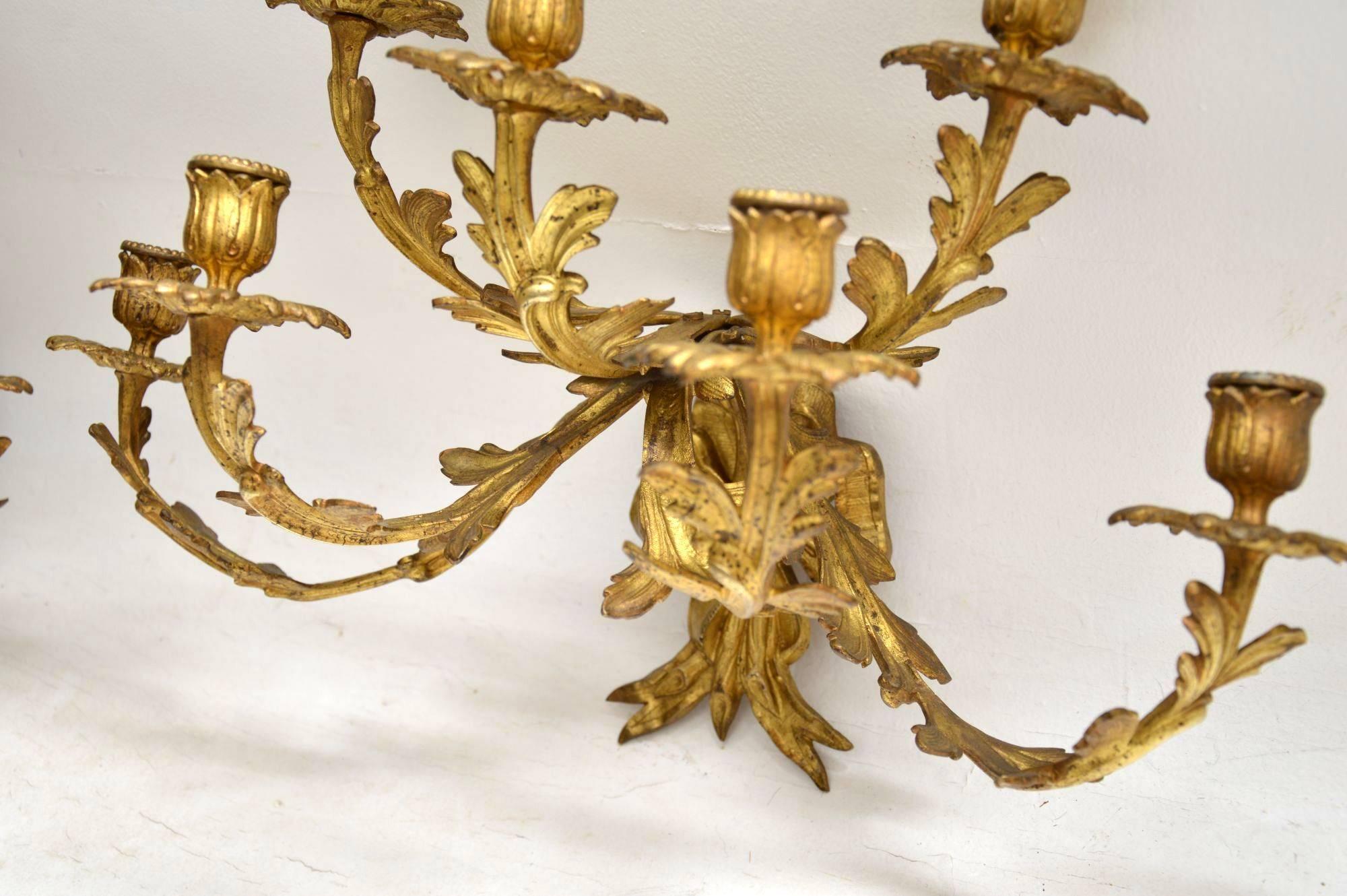 Mid-19th Century Pair of Antique Gilt Bronze Wall Sconce Candelabra