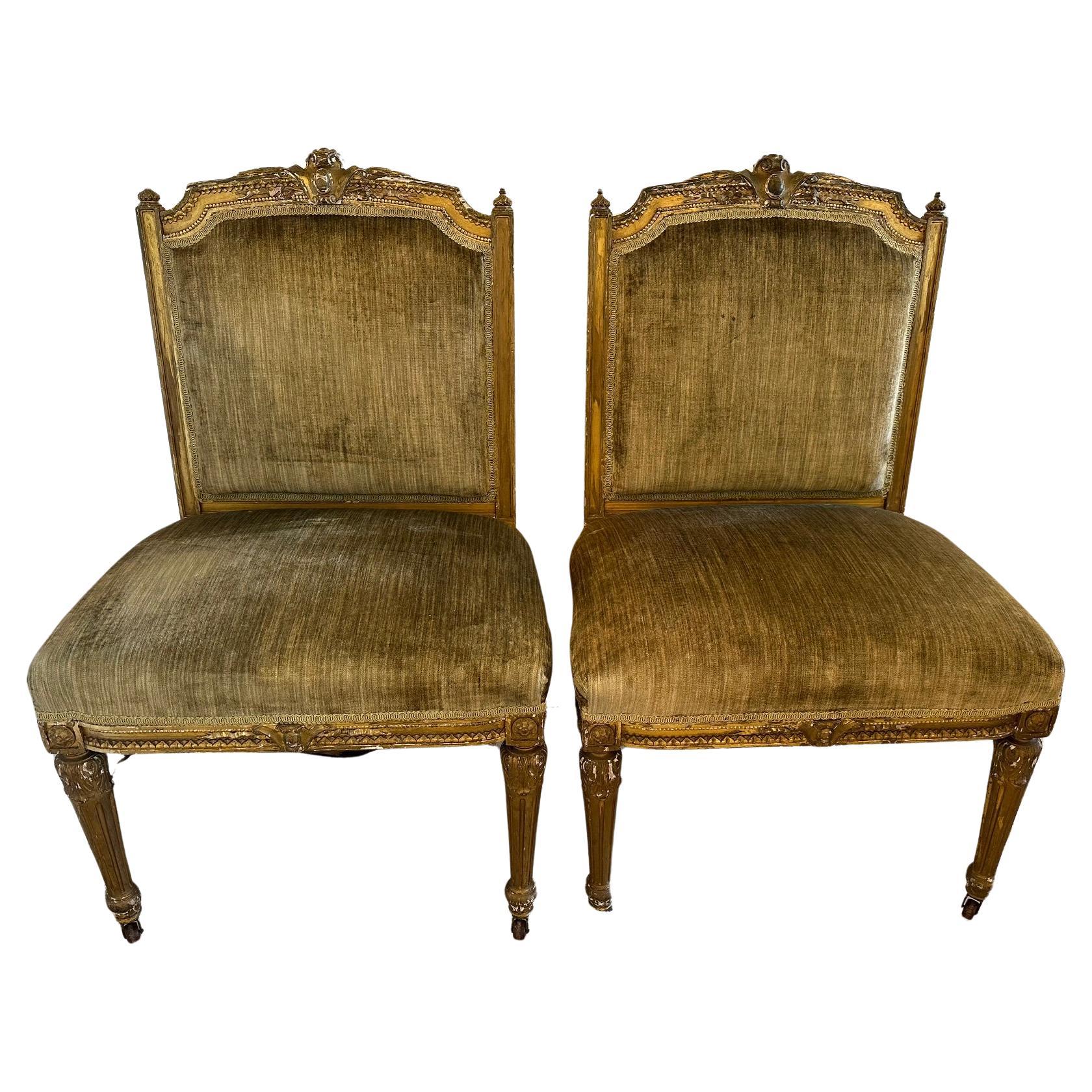 Paire d'anciennes chaises d'appoint Louis XVI en bois doré et velours