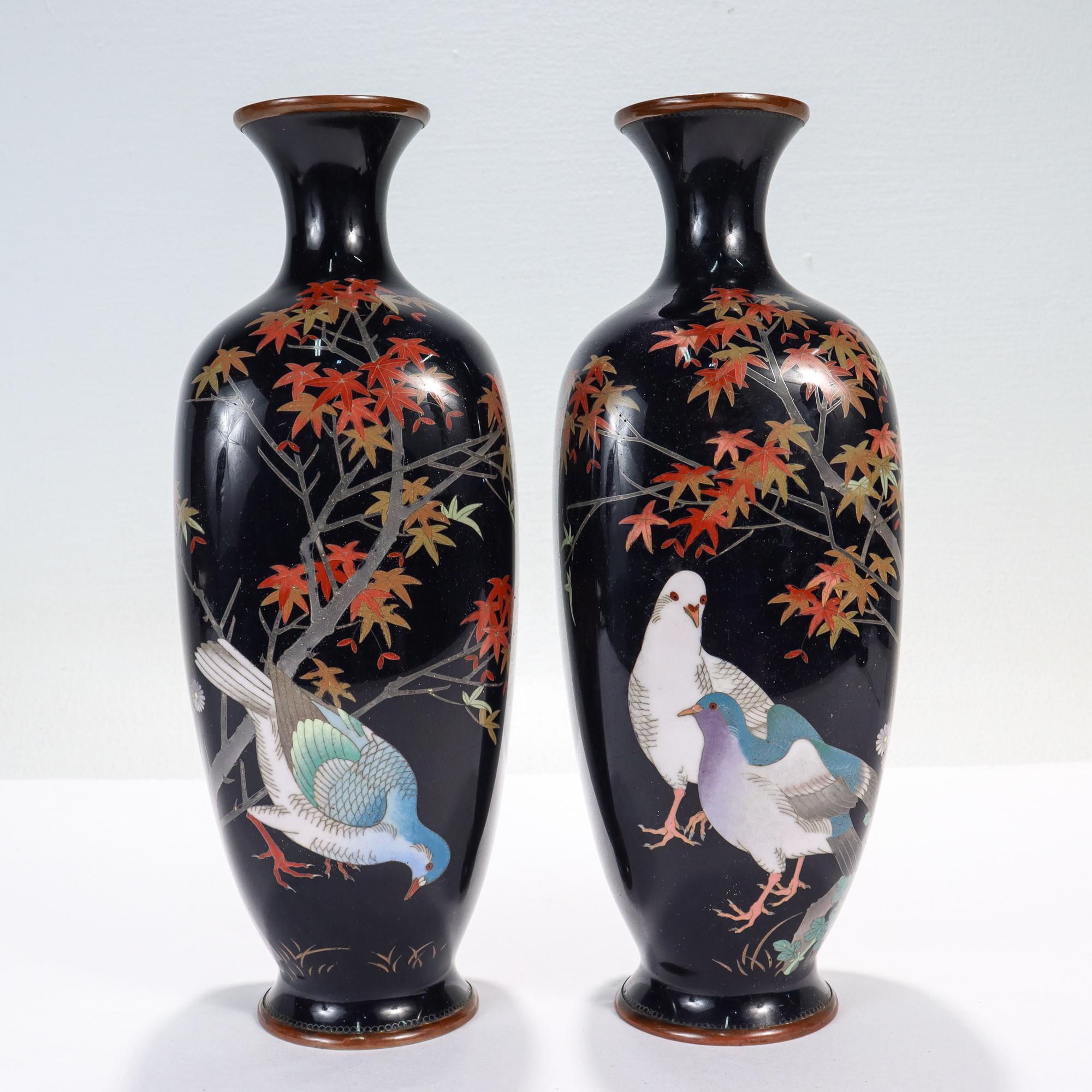 A fine pair of antique Japanese cloisonne vases.

By Gonda Hirosuke (1865 - 1937). Little is known about Hirosuke's life, but his work is highly prized and sought after collector's today.

Each vase has scenes of pigeons surrounded by patches of