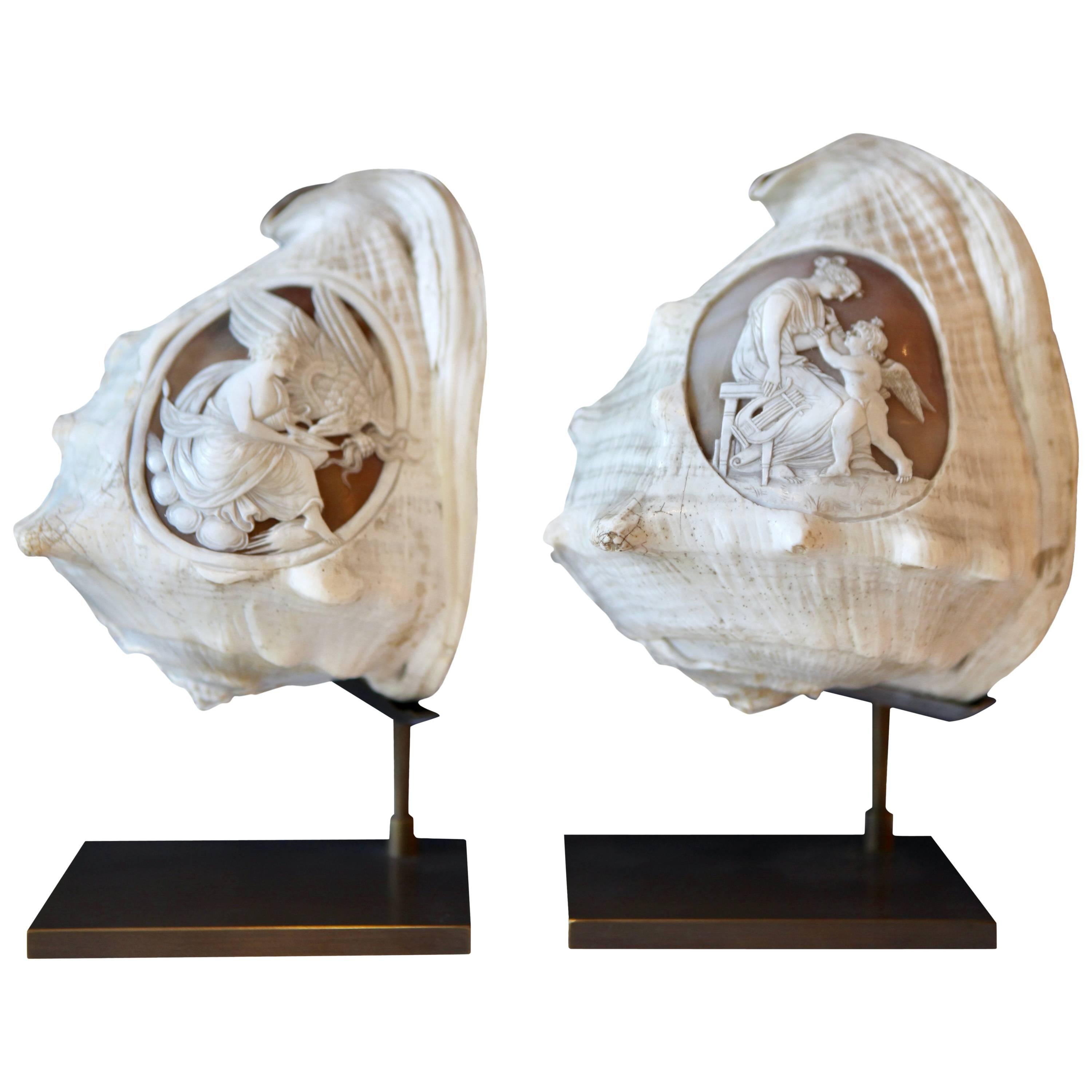 Pair of Antique Grand Tour Cameo Carved Sea Shells, Italy, 1870