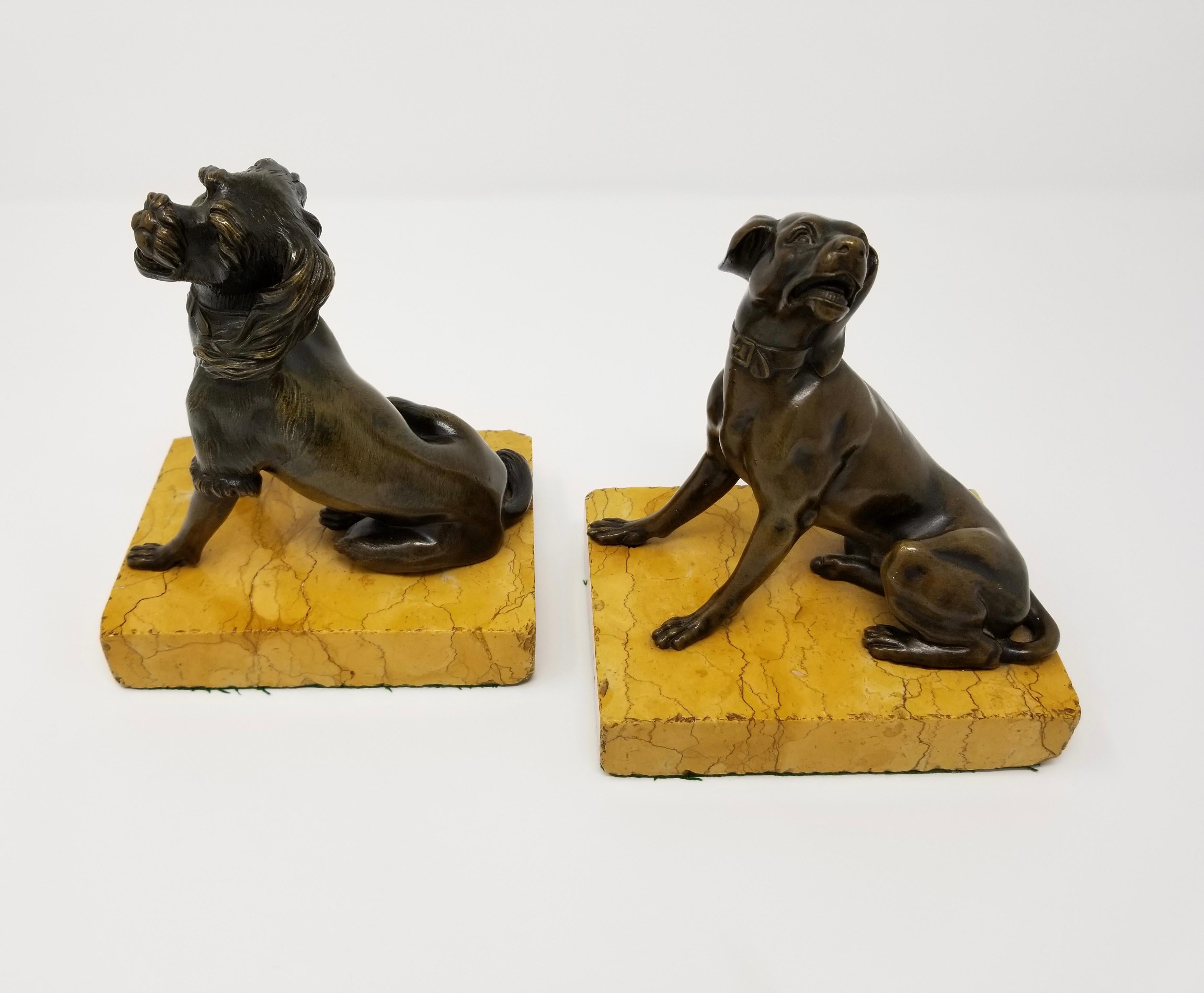A beautiful pair of 19th century antique grand tour patinated bronze dogs seated on siena marble plinths. Each dog is beautifully cast and hand-chiseled with meticulous craftsmanship. Each dog is further decorated in a beautiful brown patina, with