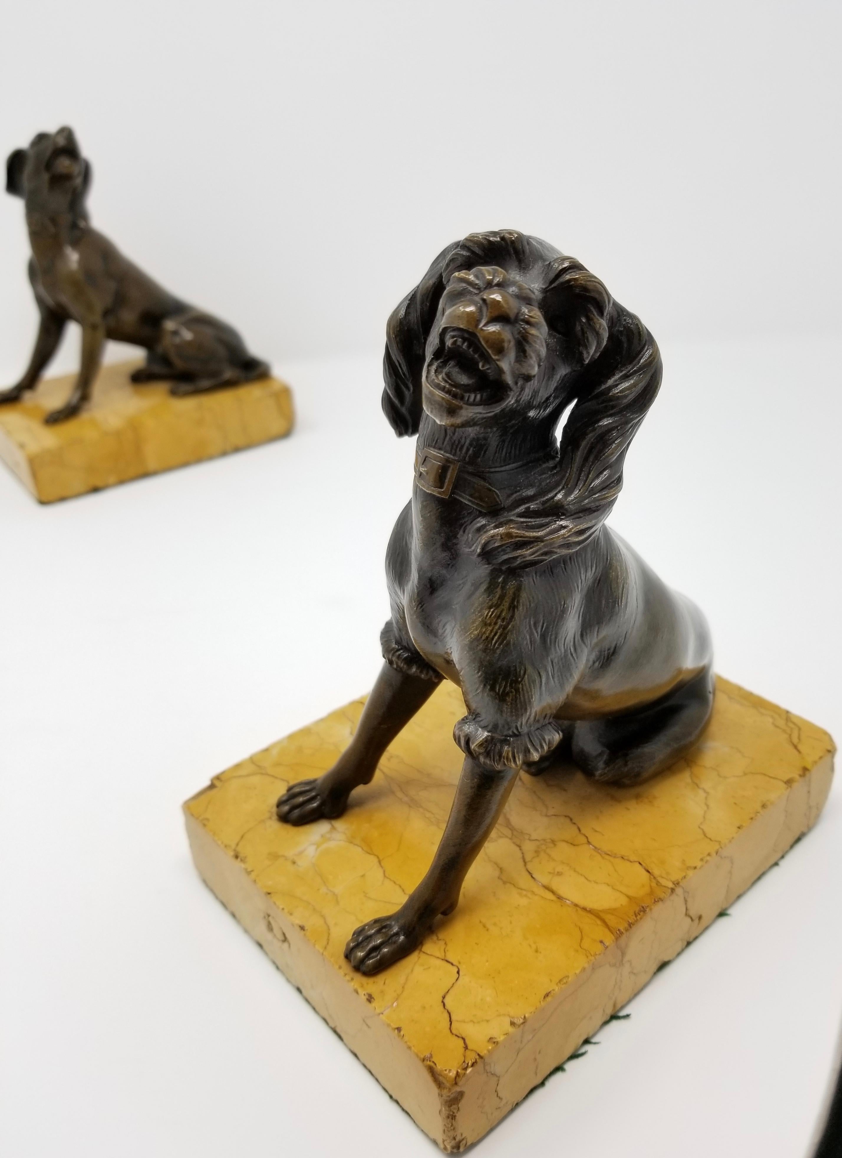 Hand-Carved Pair of Antique Grand Tour Patinated Bronze Dogs Seated on Sienna Marble Plinths For Sale