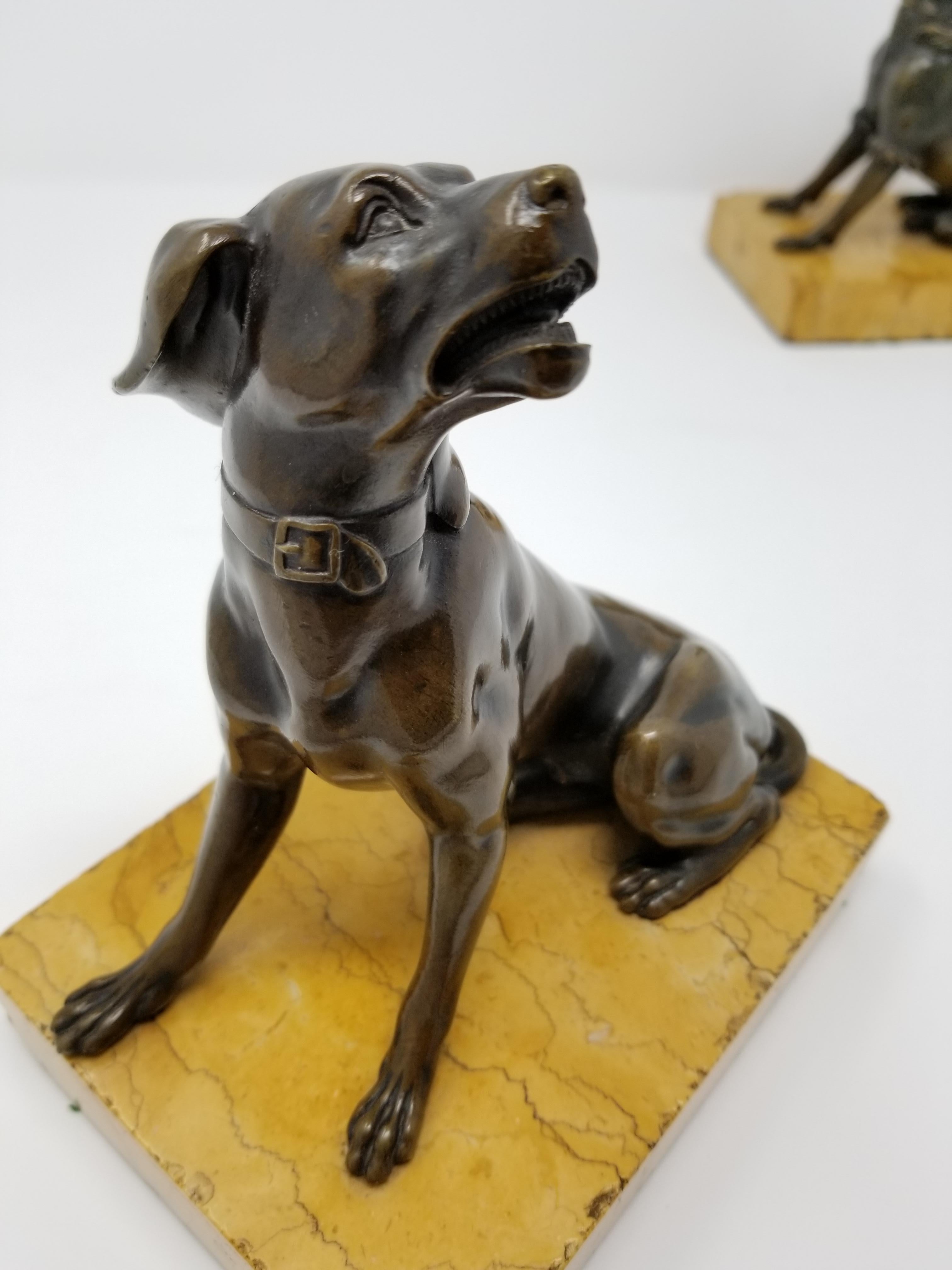 Pair of Antique Grand Tour Patinated Bronze Dogs Seated on Sienna Marble Plinths In Good Condition For Sale In New York, NY